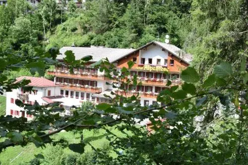 Hotel Alpenrose Hotel Alpenrose
