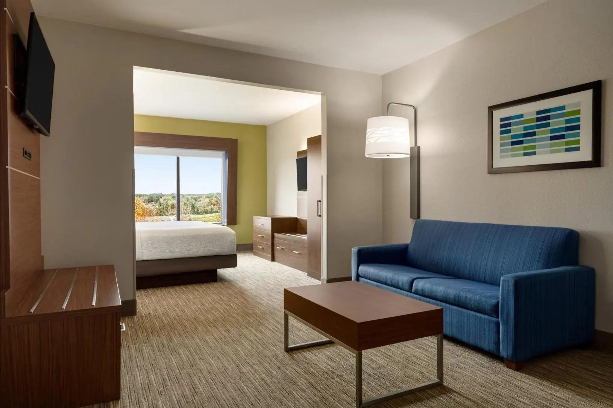 King Studio with Accessible Roll In Shower - Non-Smoking in Holiday Inn Express & Suites Lexington North West-The Vineyard by IHG King Studio with Accessible Roll In Shower - Non-Smoking in Holiday Inn Express & Suites Lexington North West-The Vineyard by IHG