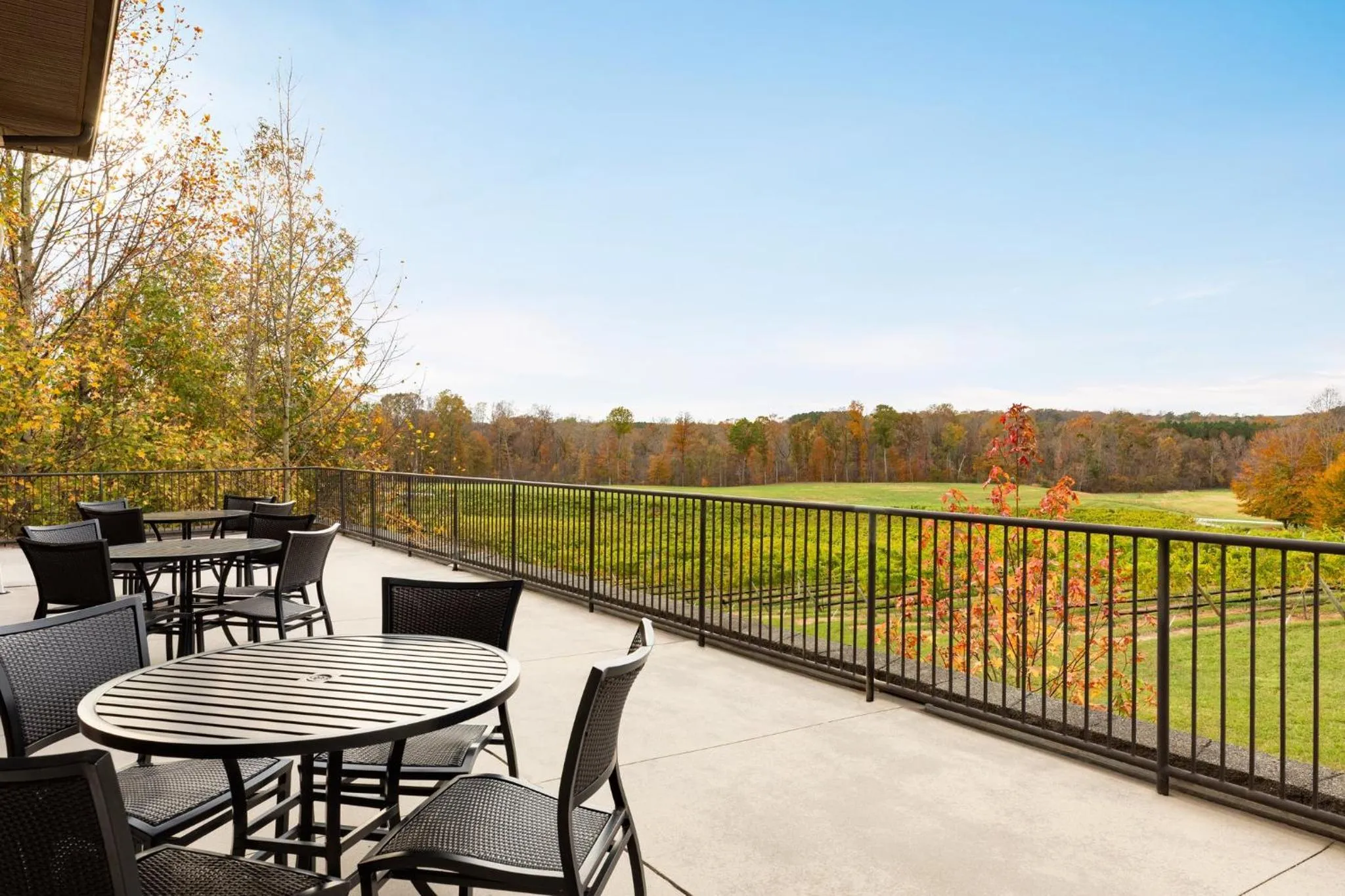 Other in Holiday Inn Express & Suites Lexington North West-The Vineyard by IHG