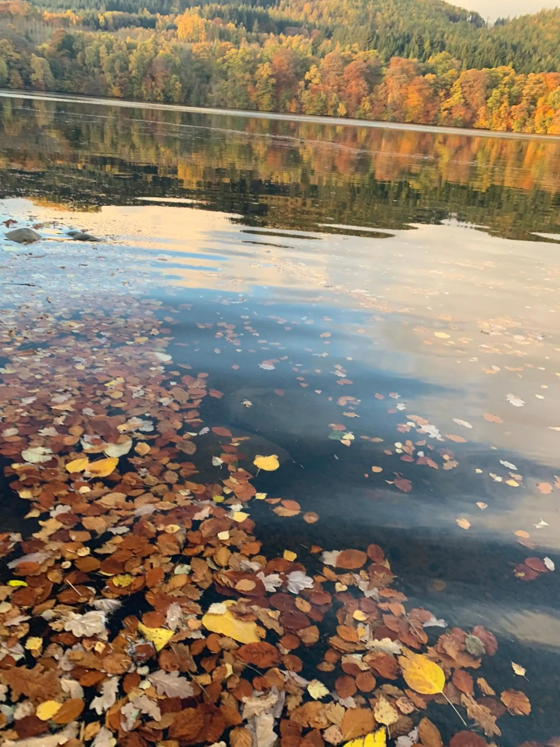 Hiking in Kinnaird Woodland Lodges