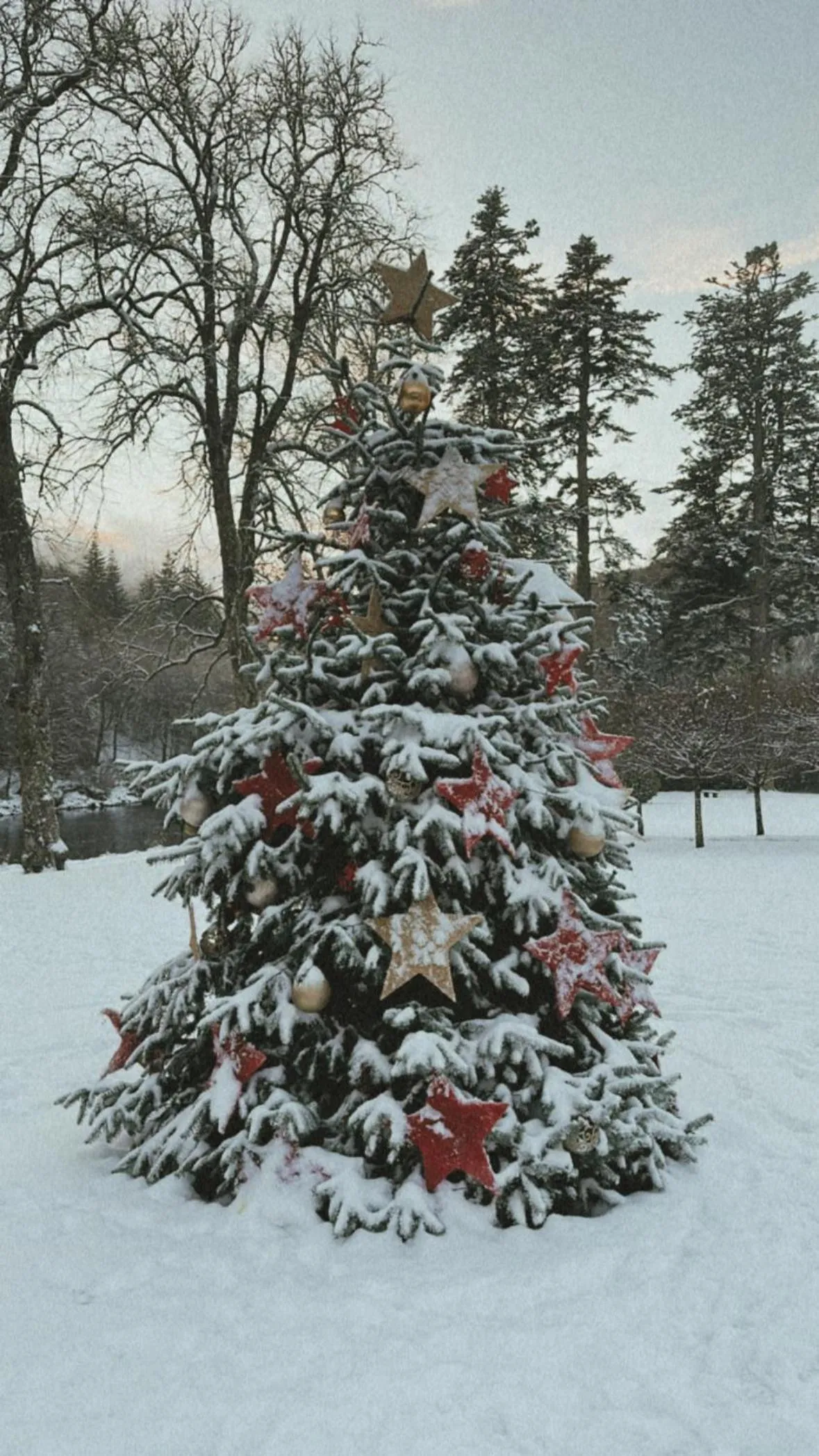 Hiking in Kinnaird Woodland Lodges