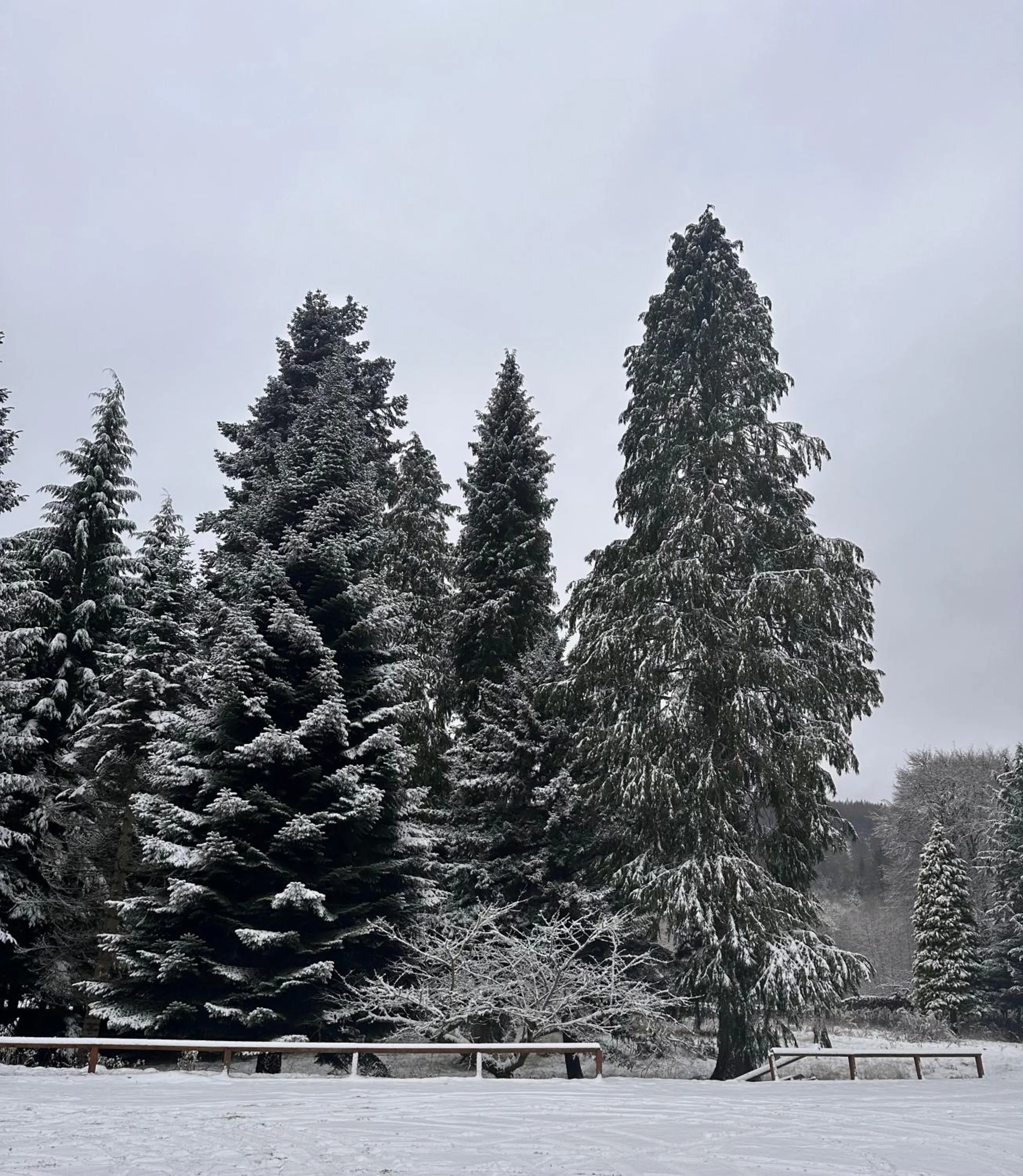 Hiking in Kinnaird Woodland Lodges