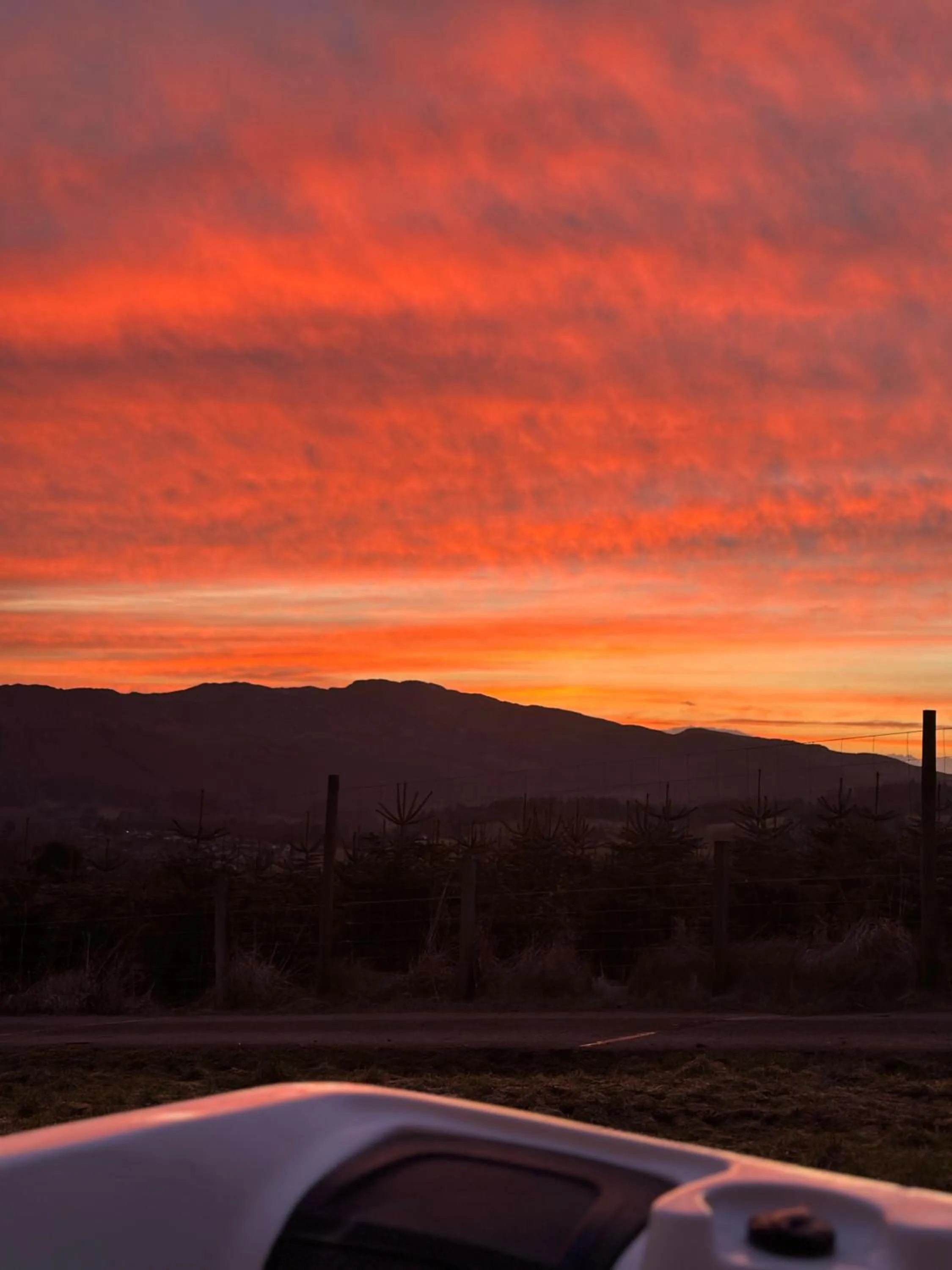 Kinnaird Woodland Lodges