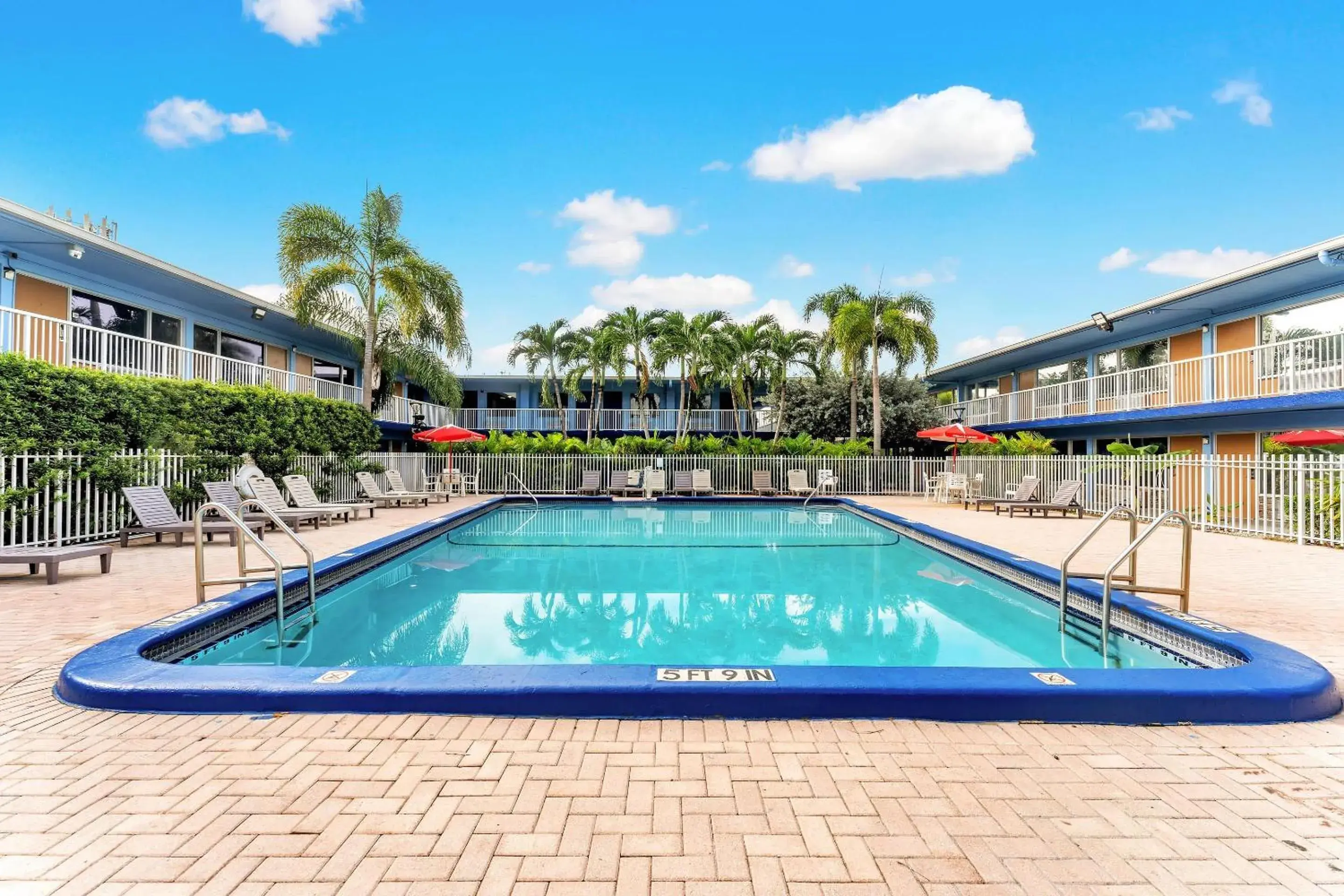 Swimming pool in Rodeway Inn & Suites Fort Lauderdale Airport & Cruise Port Swimming pool in Rodeway Inn & Suites Fort Lauderdale Airport & Cruise Port
