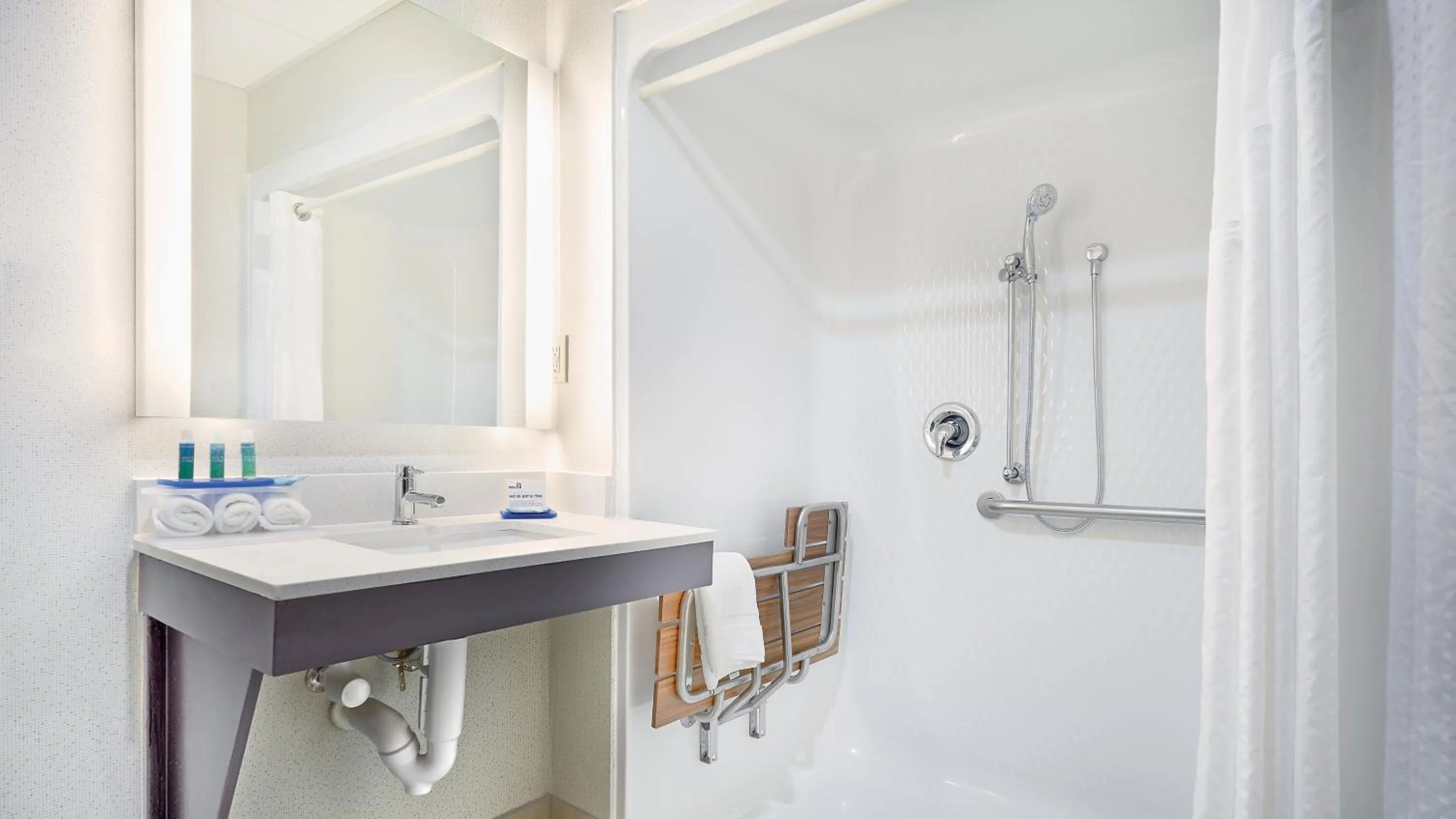 Bathroom in Holiday Inn Express & Suites Asheville SW - Outlet Ctr Area by IHG