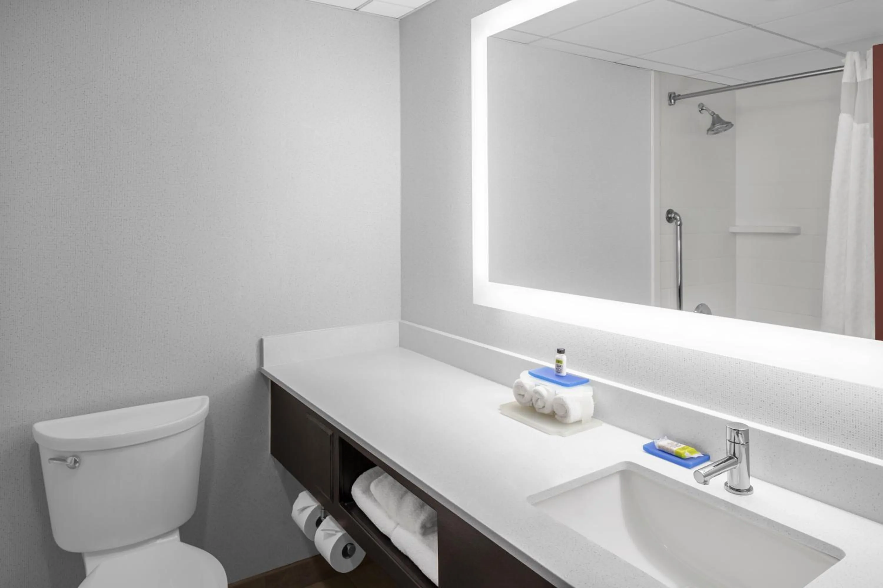 Bathroom in Holiday Inn Express & Suites Asheville SW - Outlet Ctr Area by IHG