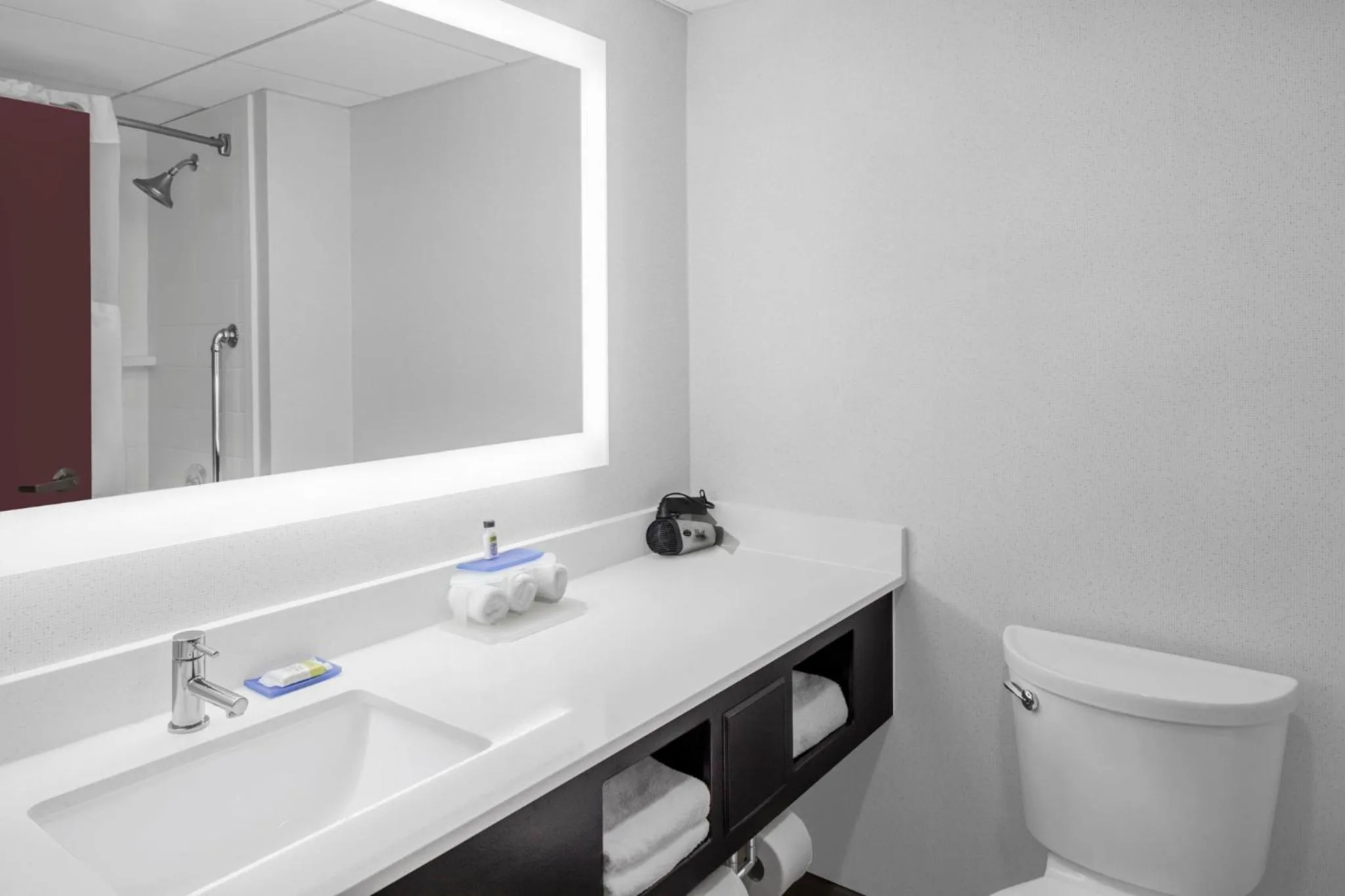 Bathroom in Holiday Inn Express & Suites Asheville SW - Outlet Ctr Area by IHG