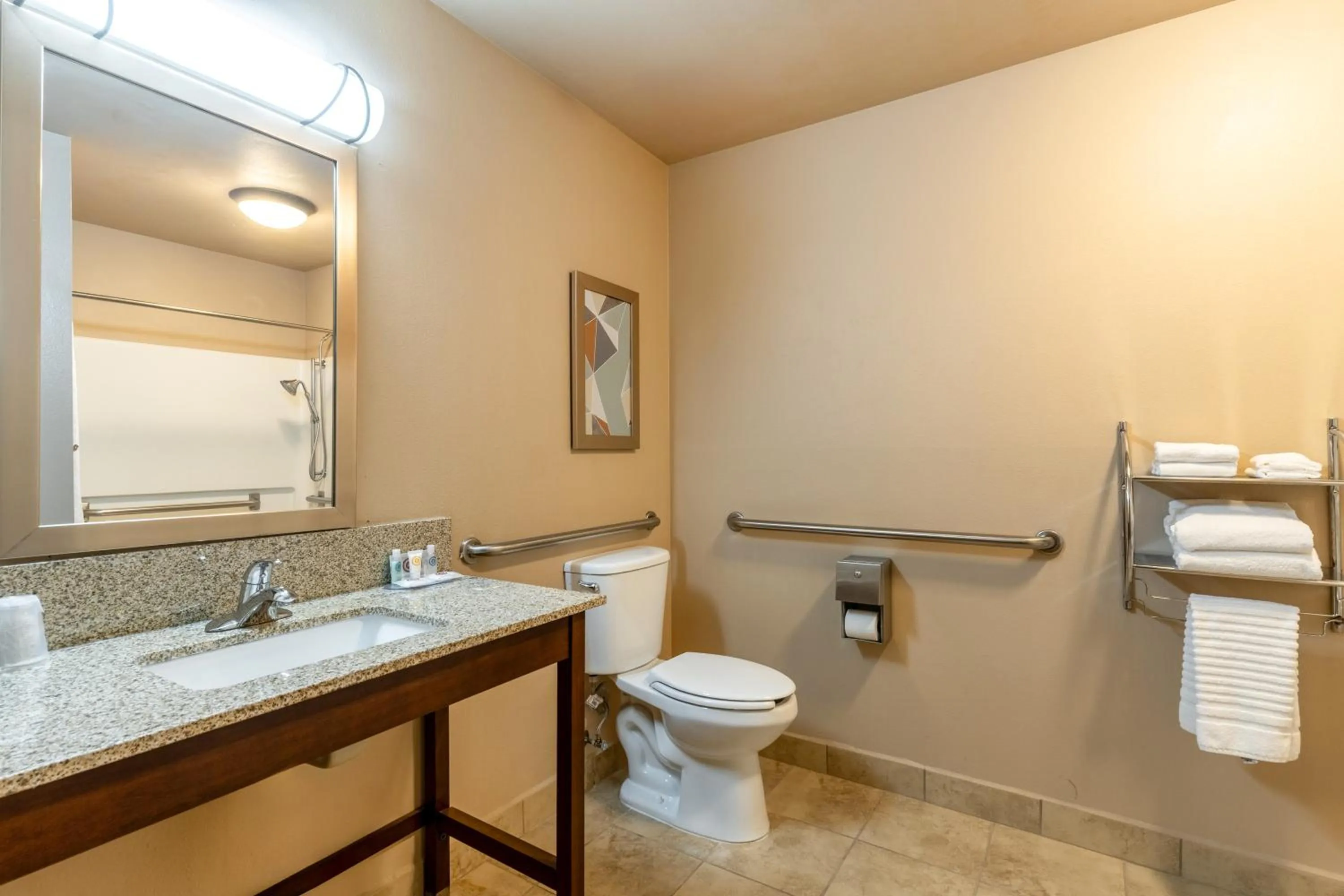 Toilet in Comfort Inn & Suites Boulder