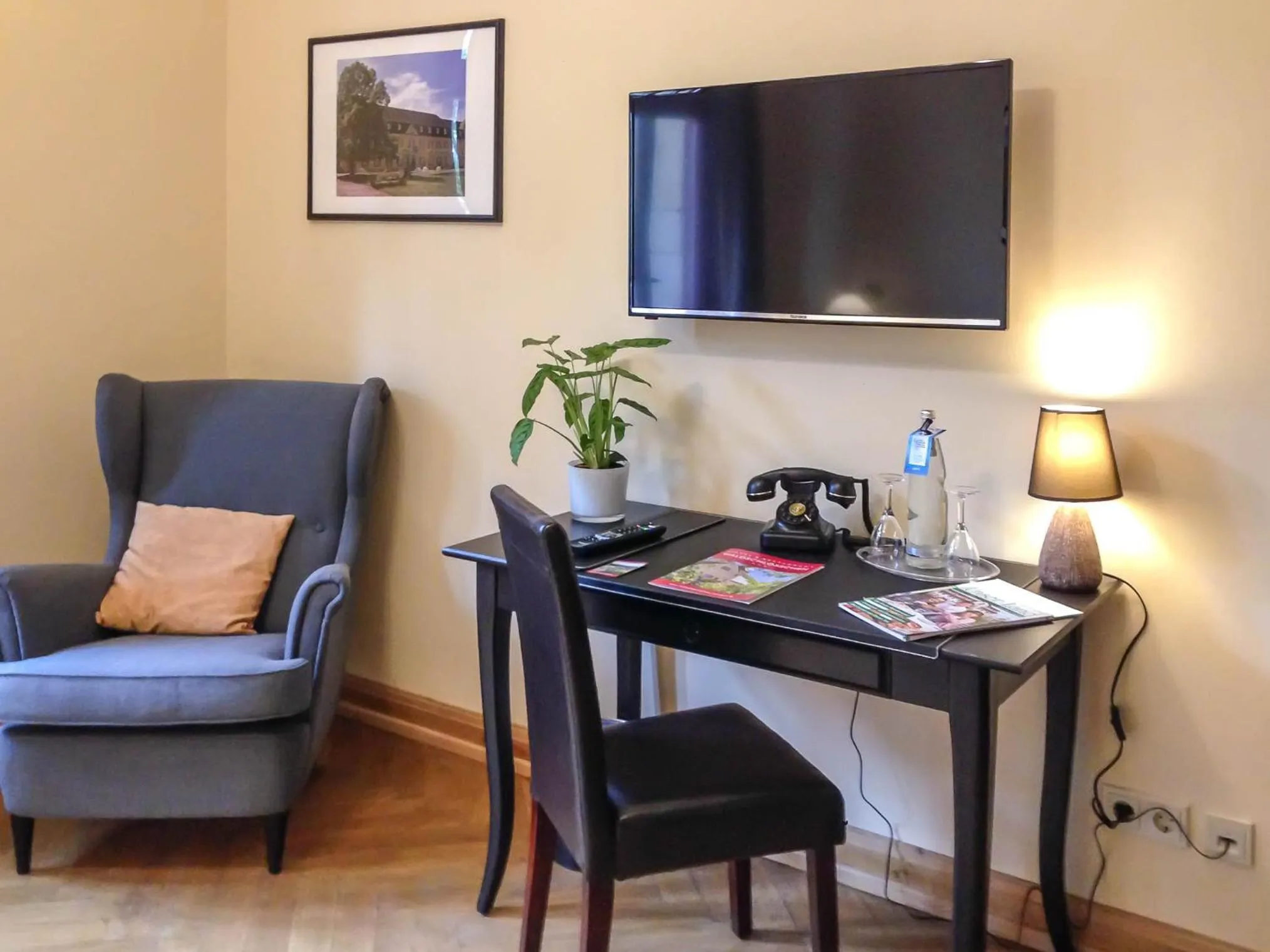 TV and multimedia in Waldschlösschen Wangen