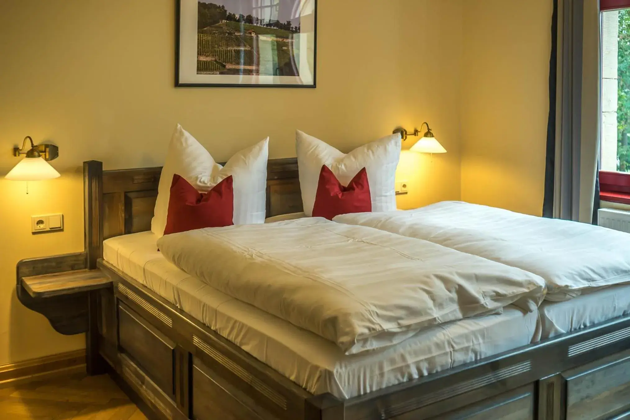 Double Room - single occupancy in Waldschlösschen Wangen Double Room - single occupancy in Waldschlösschen Wangen