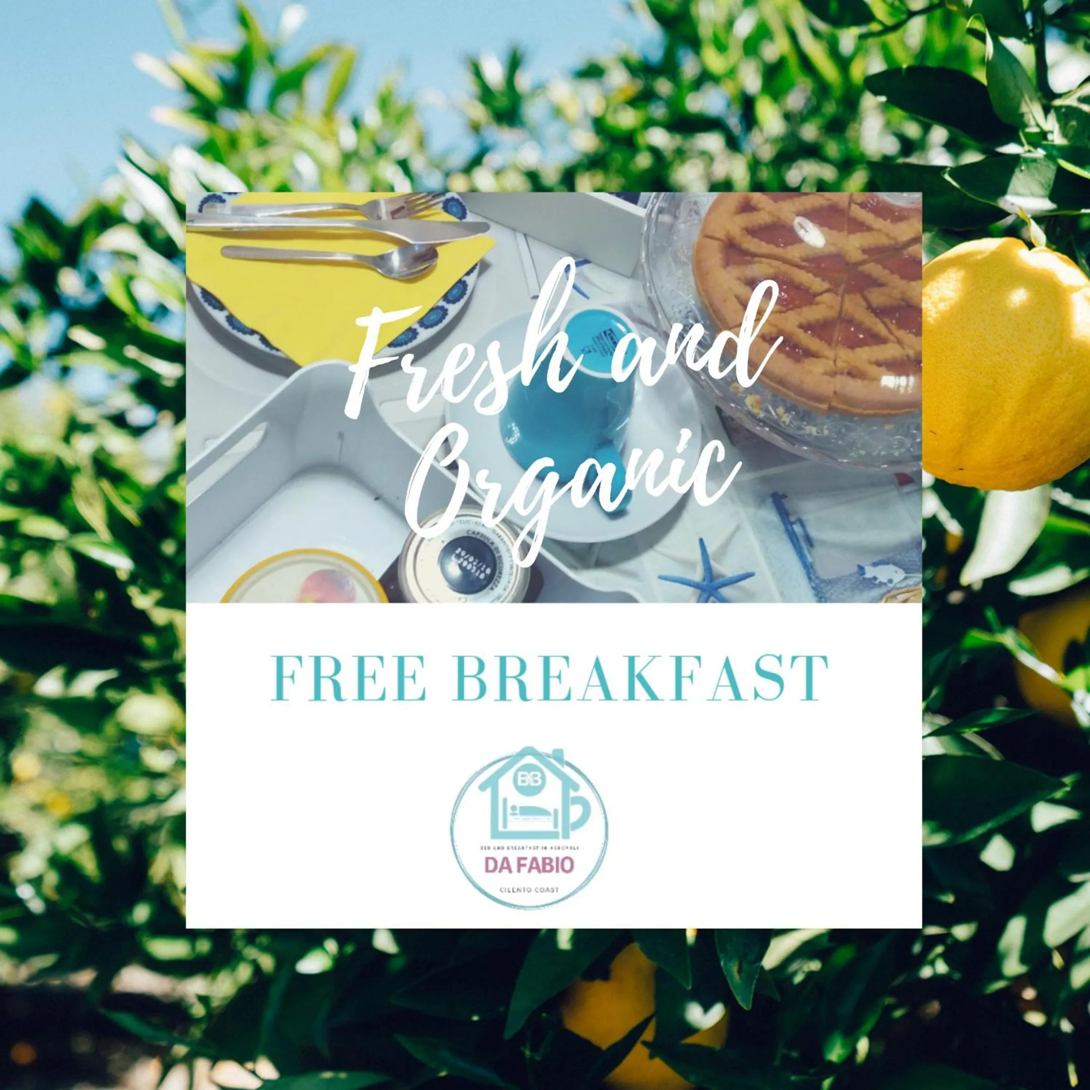 Logo/Certificate/Sign in Da Fabio Bed and Breakfast