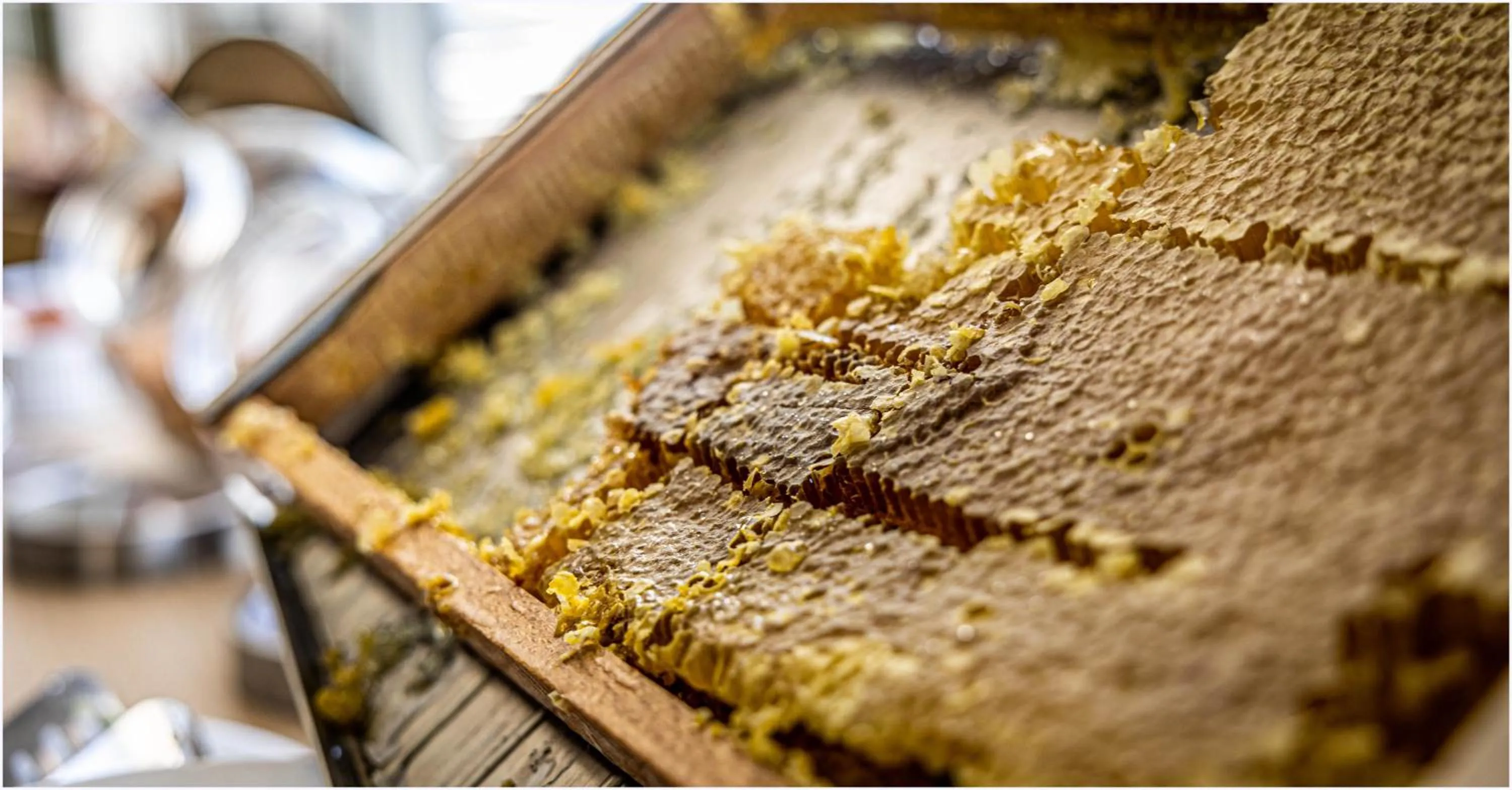 Breakfast in Hôtel Cala di Sole