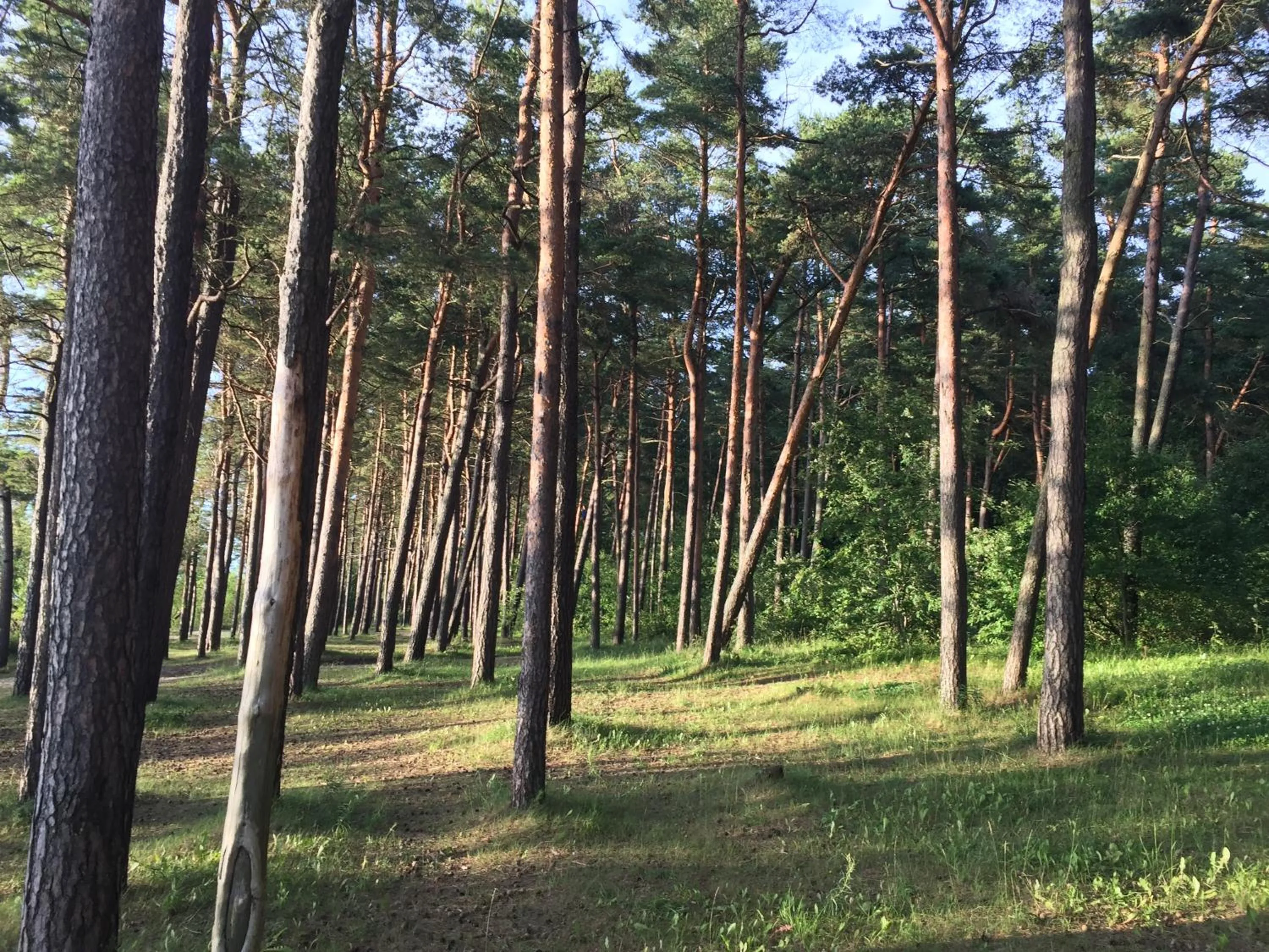 Nearby landmark in Pirita Beach Apartments & SPA