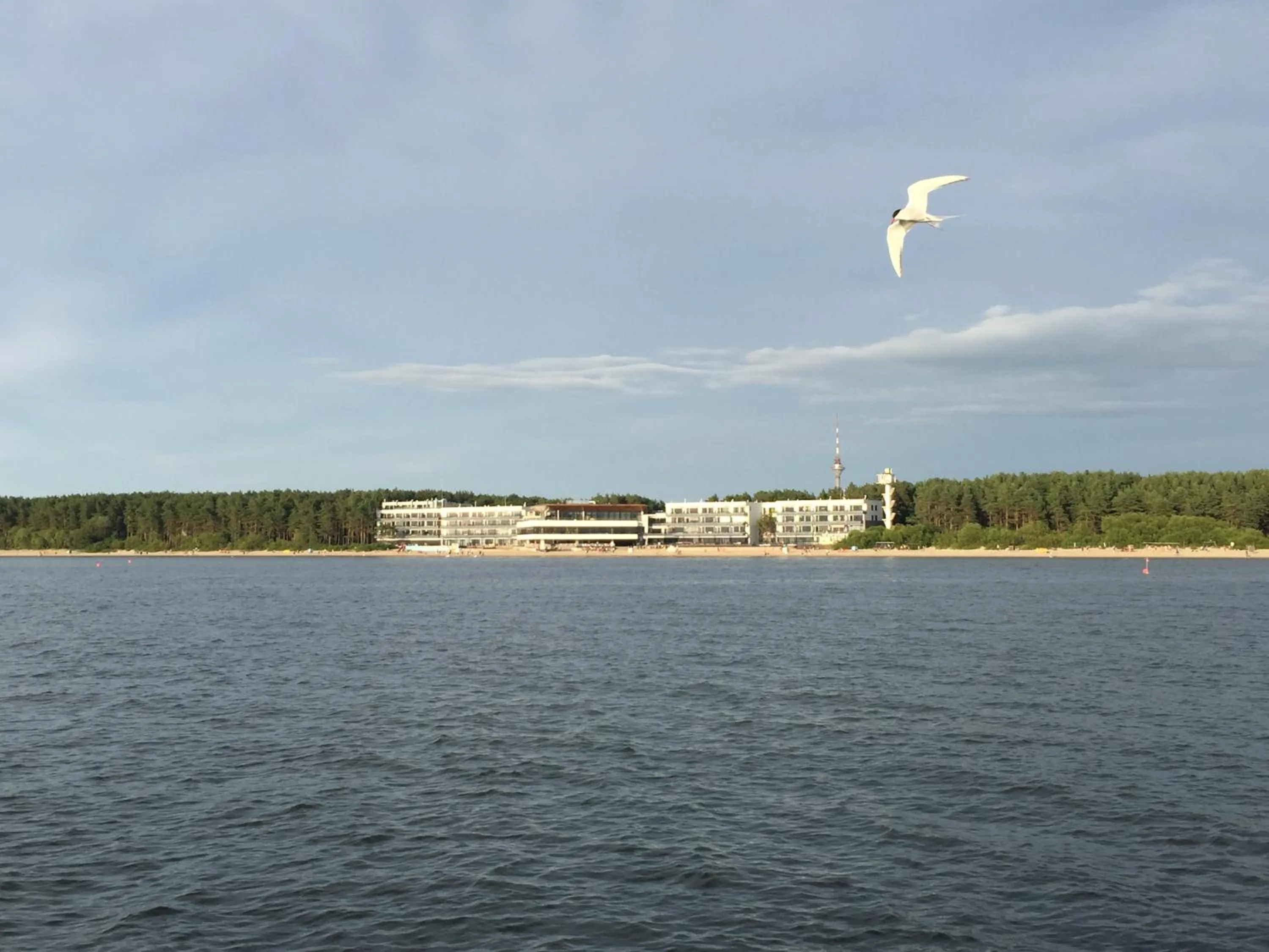Bird's eye view in Pirita Beach Apartments & SPA