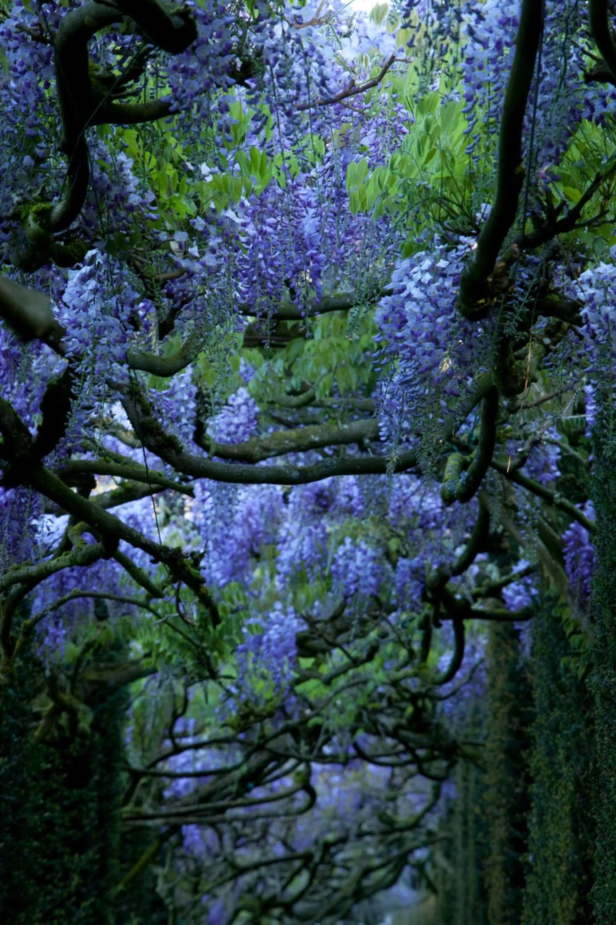 Area and facilities in Château de La Ballue - Teritoria