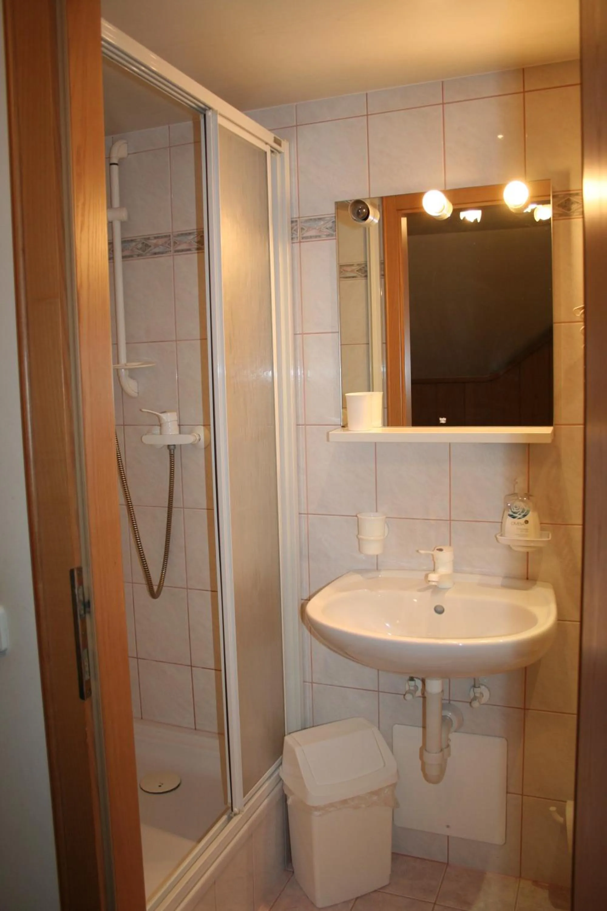 Shower in Hotel Gasthof Schweizerhaus