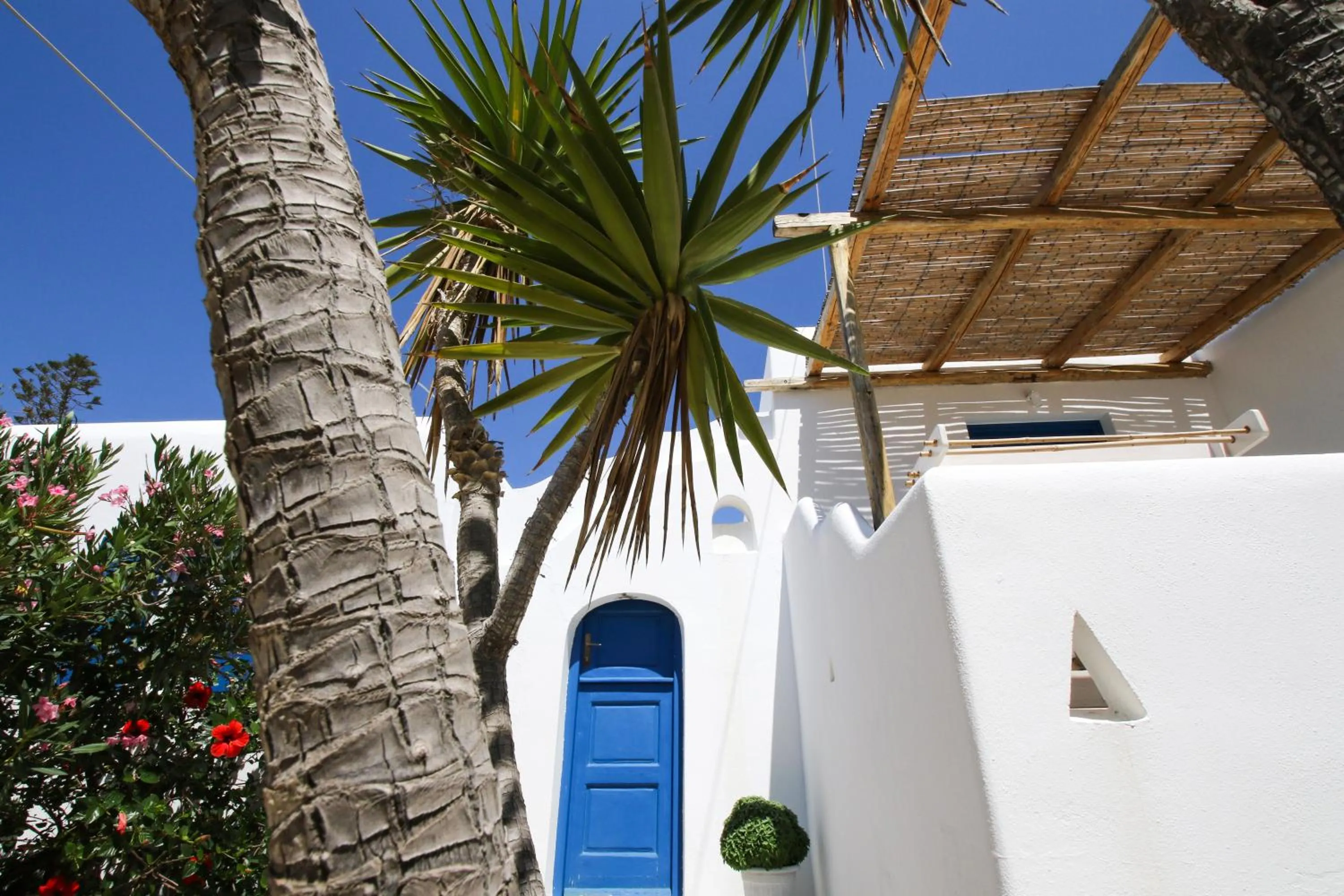 Garden in Baba Houlakia