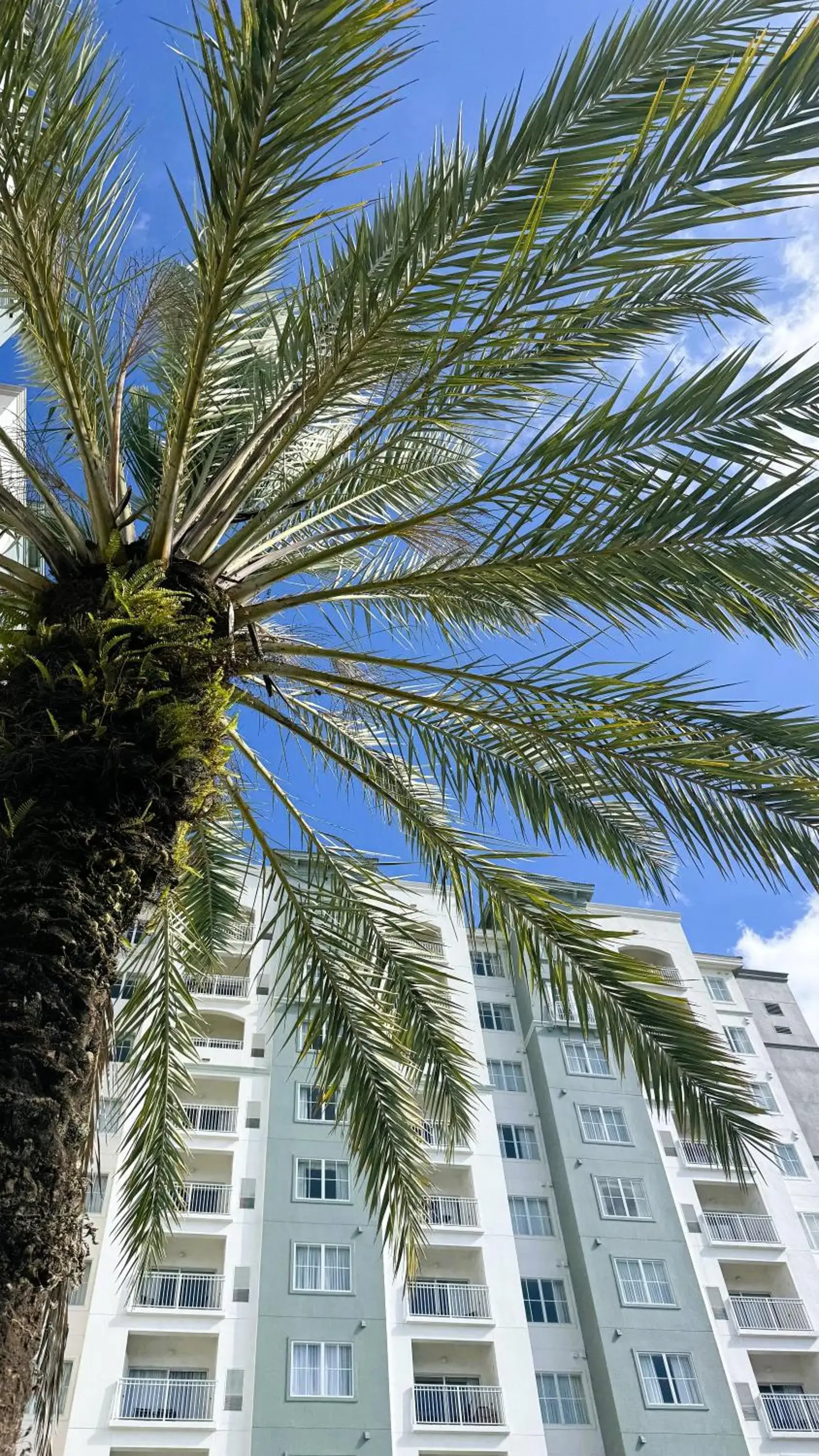 Property building in The Point Hotel & Suites Universal Property building in The Point Hotel & Suites Universal