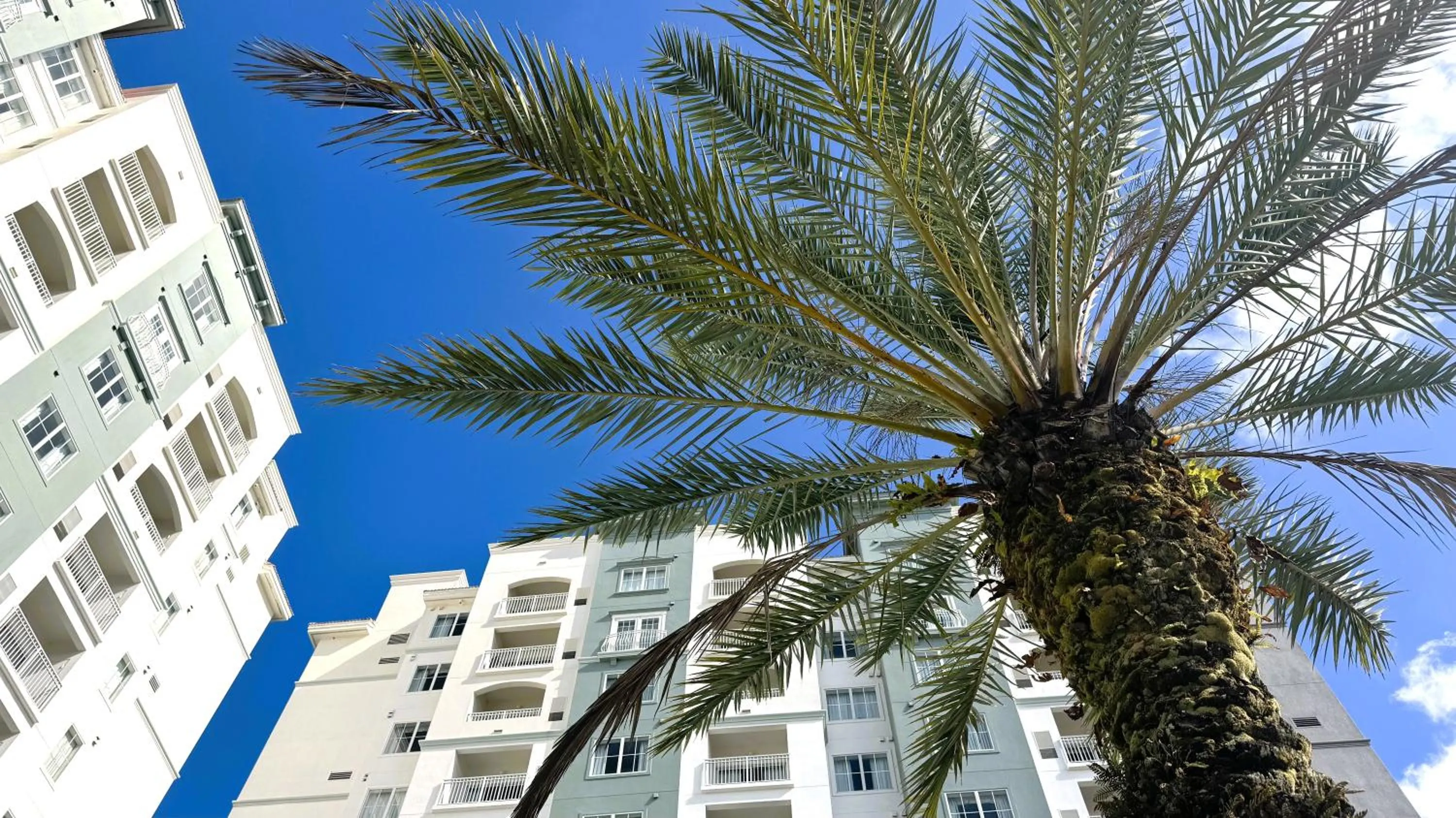 Property building in The Point Hotel & Suites Universal