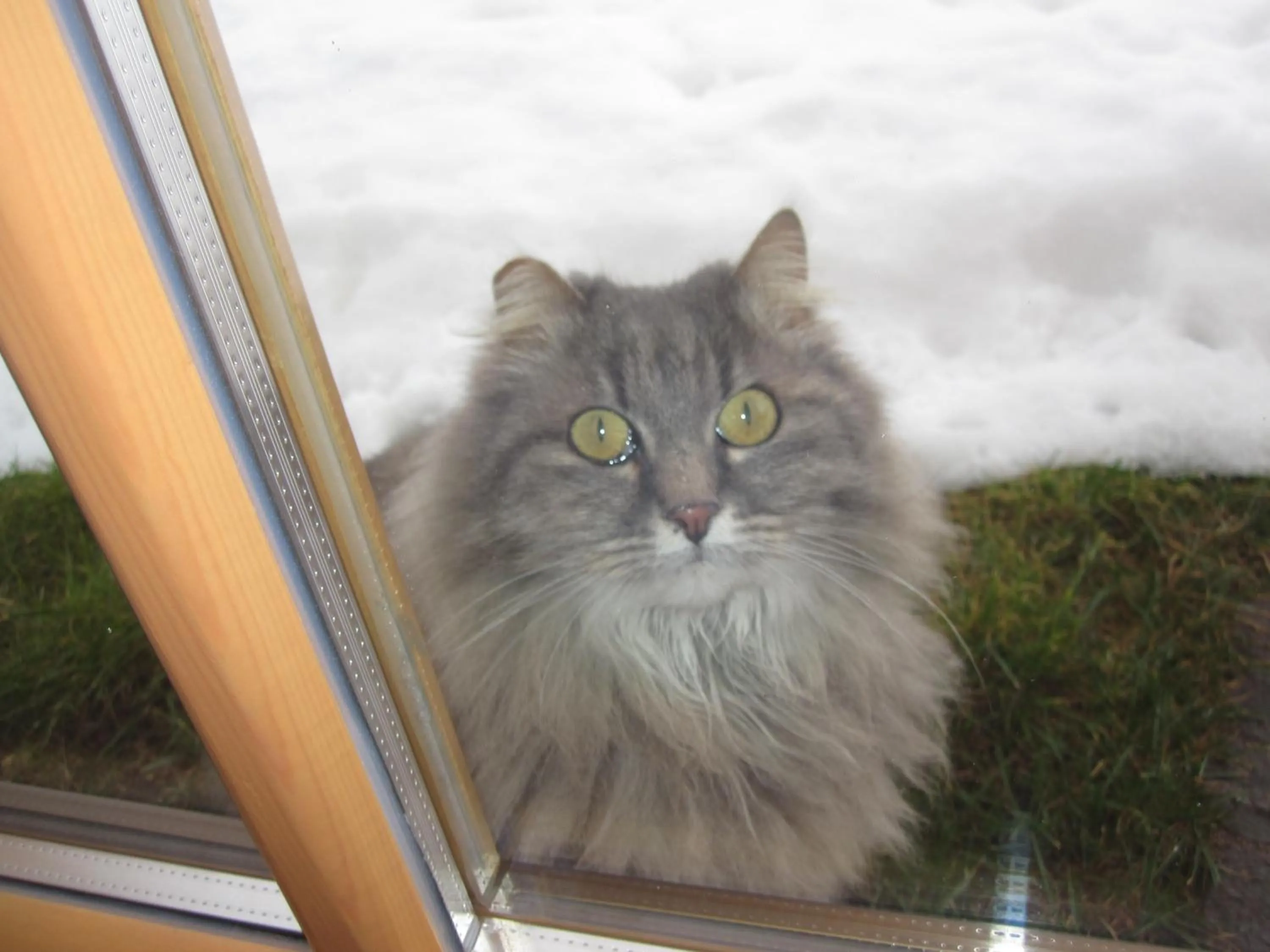 Winter in Castelir Suite Hotel