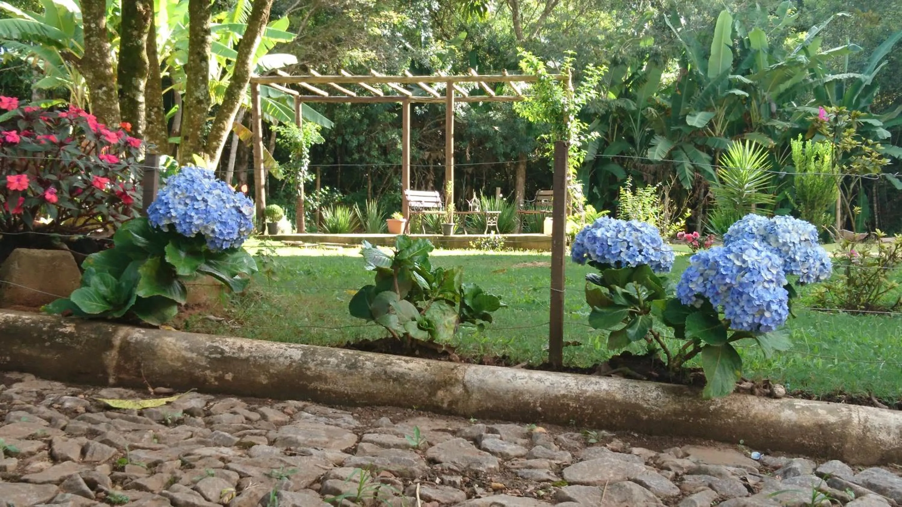 pousada canarinho