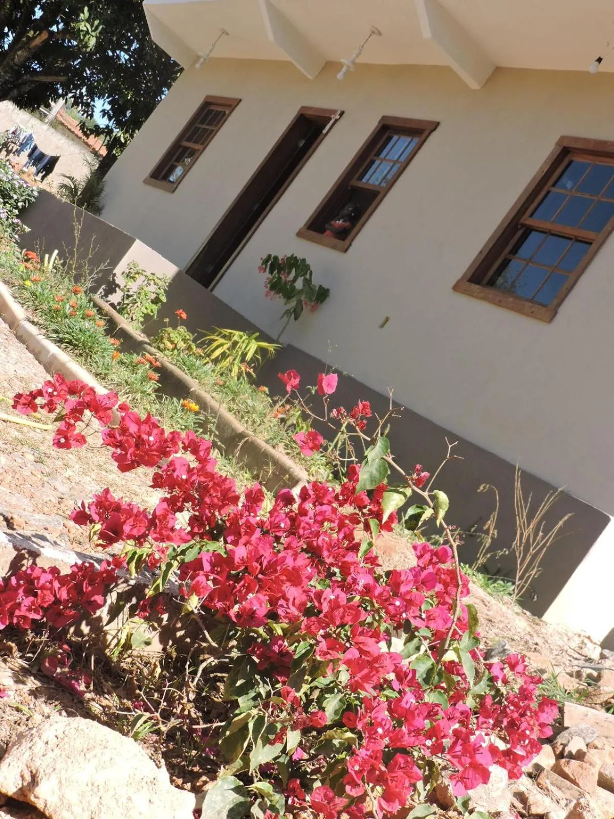 Property building in pousada canarinho