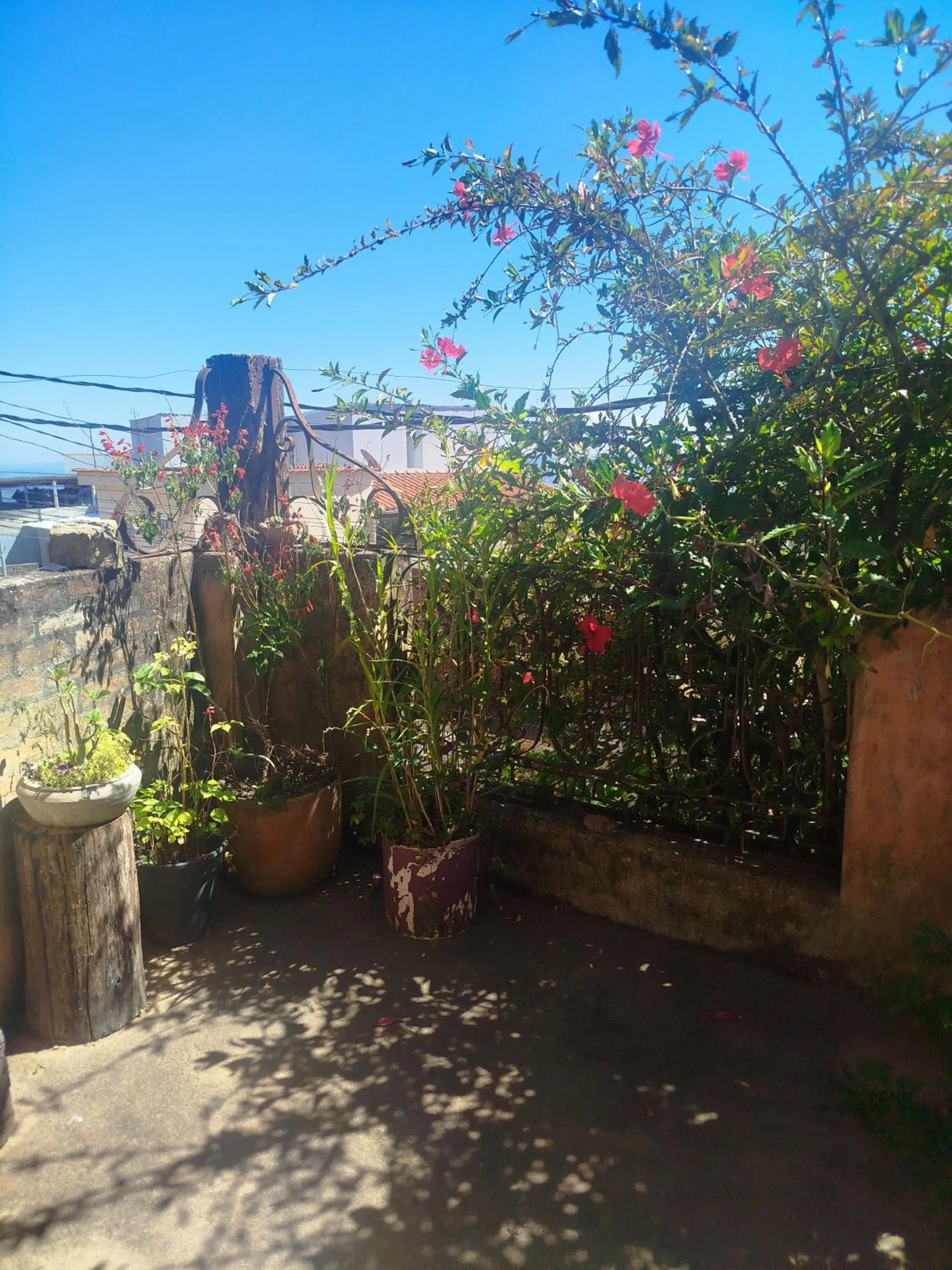 Spring in Chalé de Pedra - Hospedaria