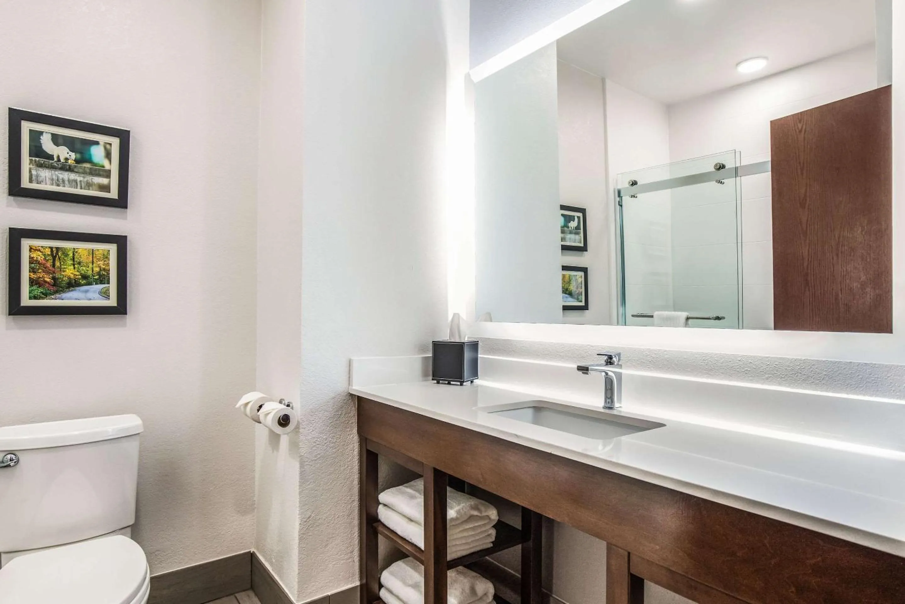 Bathroom in Comfort Inn & Suites Brevard North