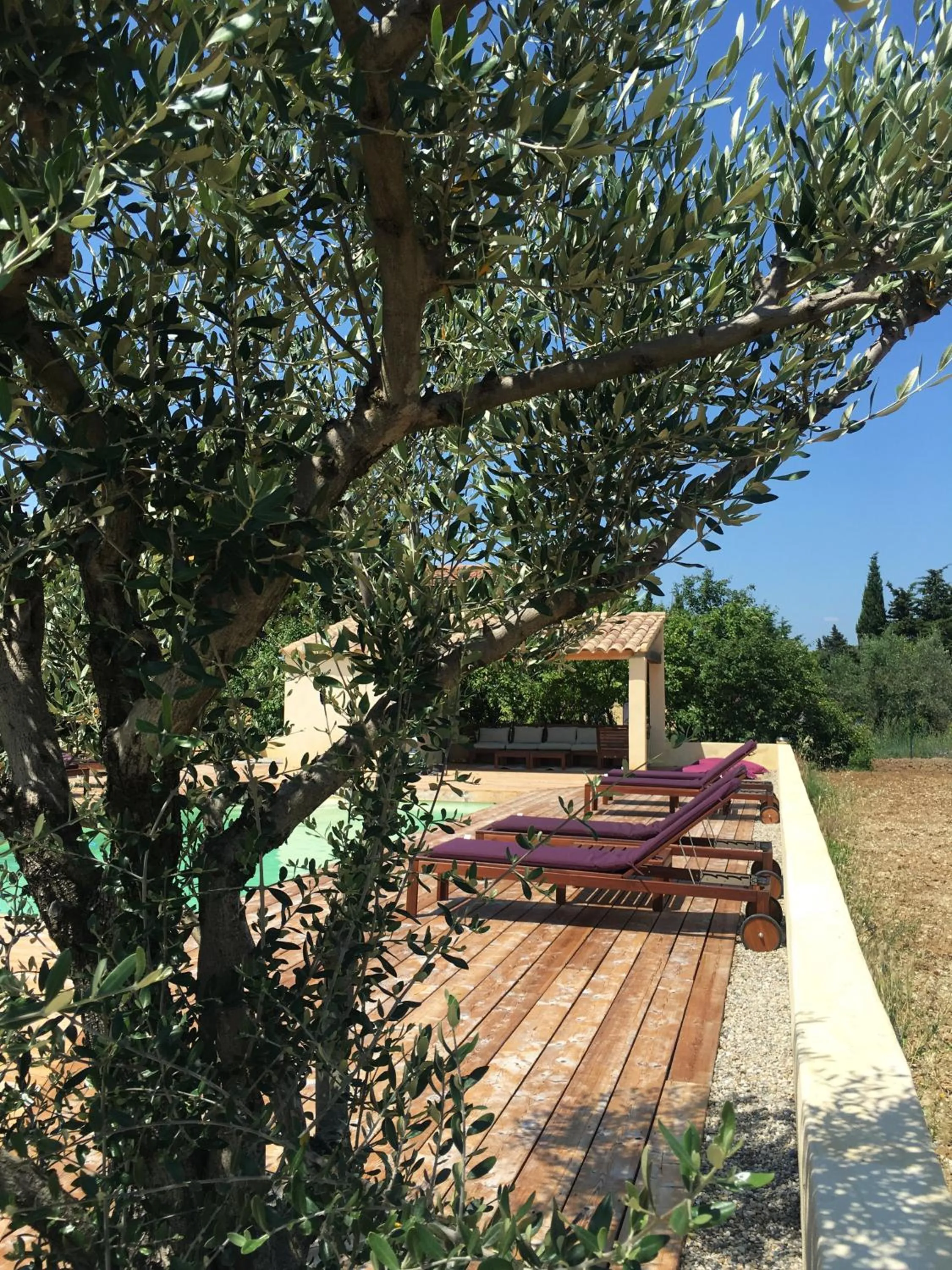 Patio in La Datcha Delicatessen