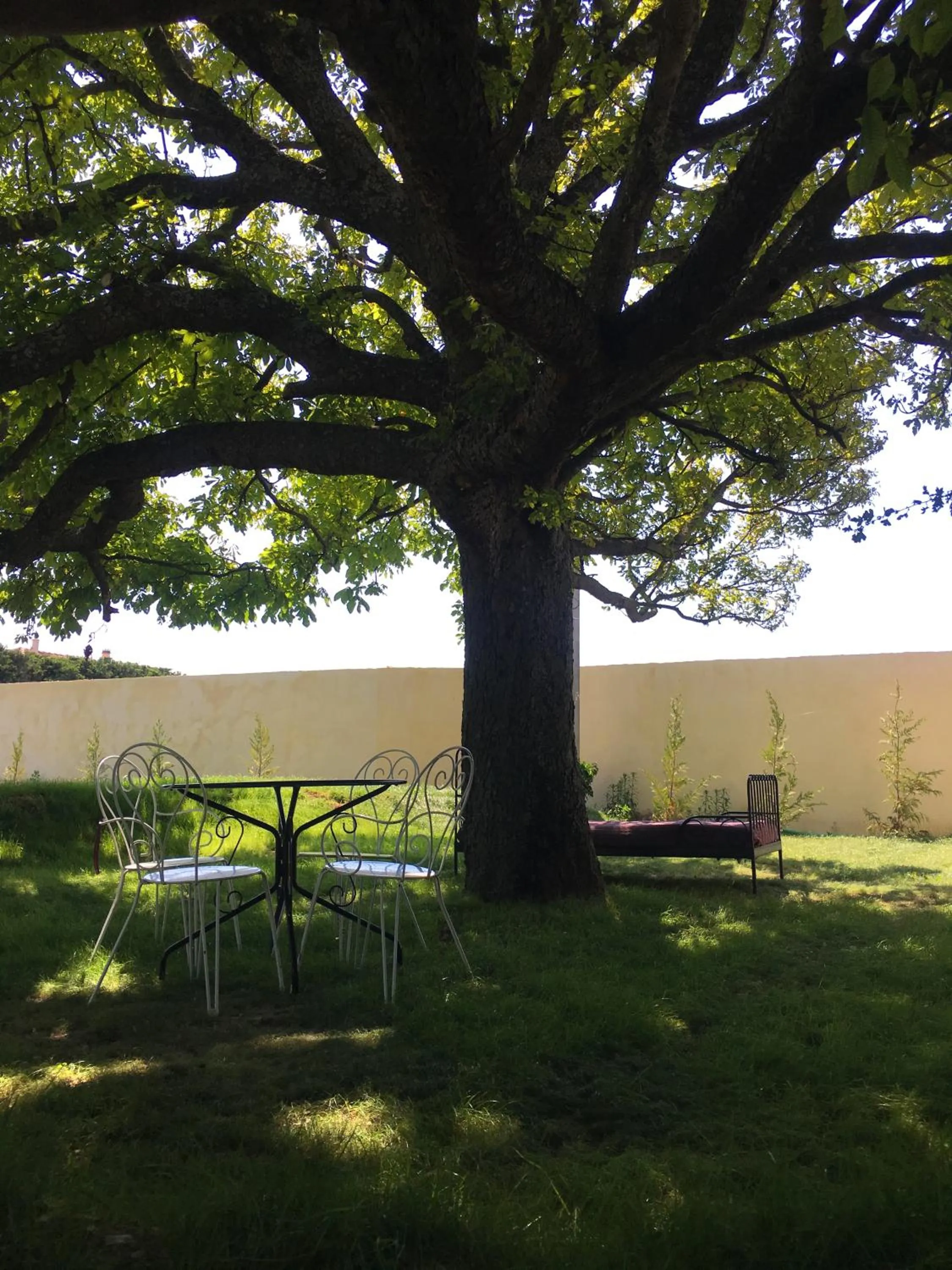 Garden in La Datcha Delicatessen