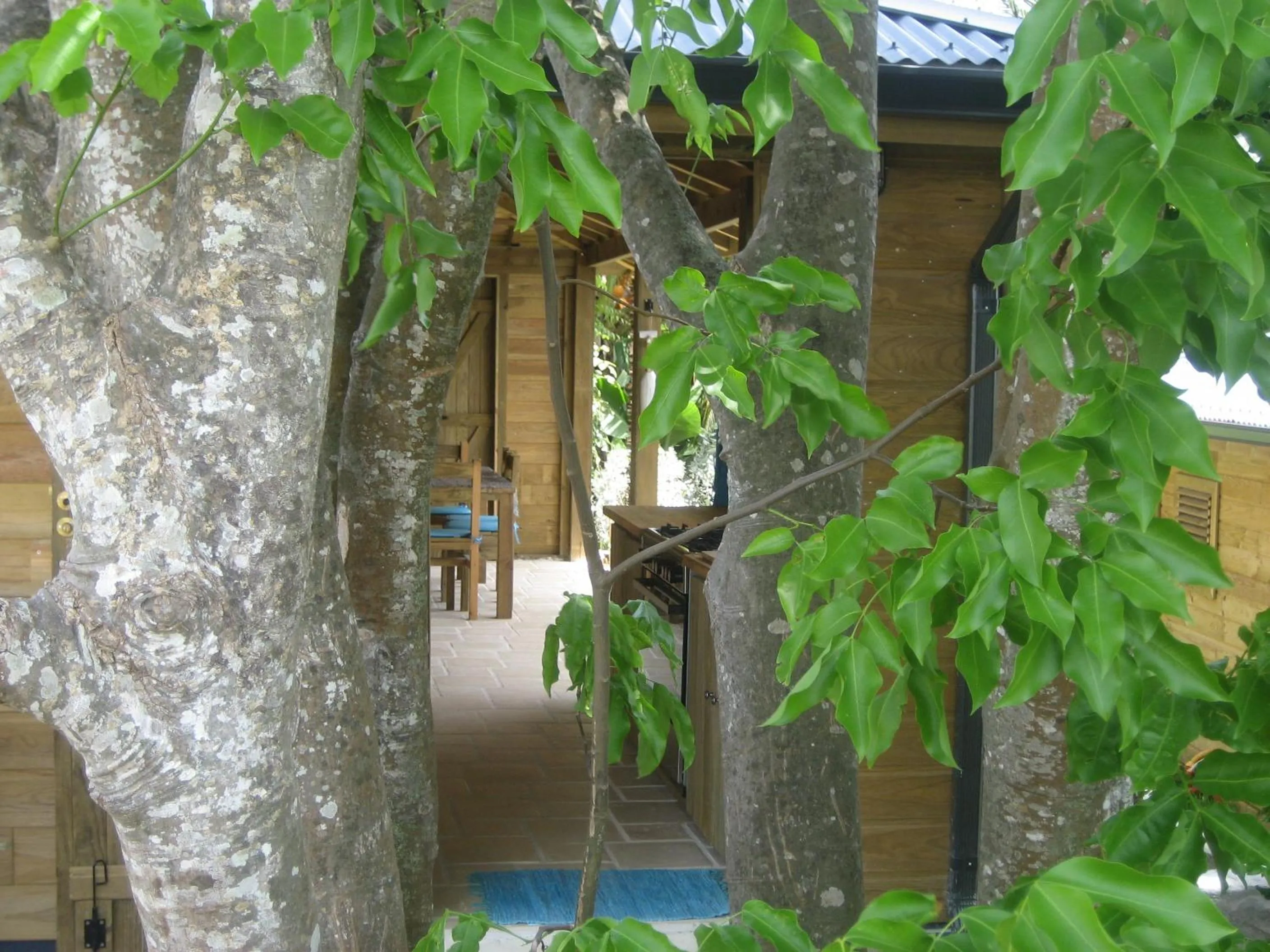 Facade/entrance in Iguana Ecolodge
