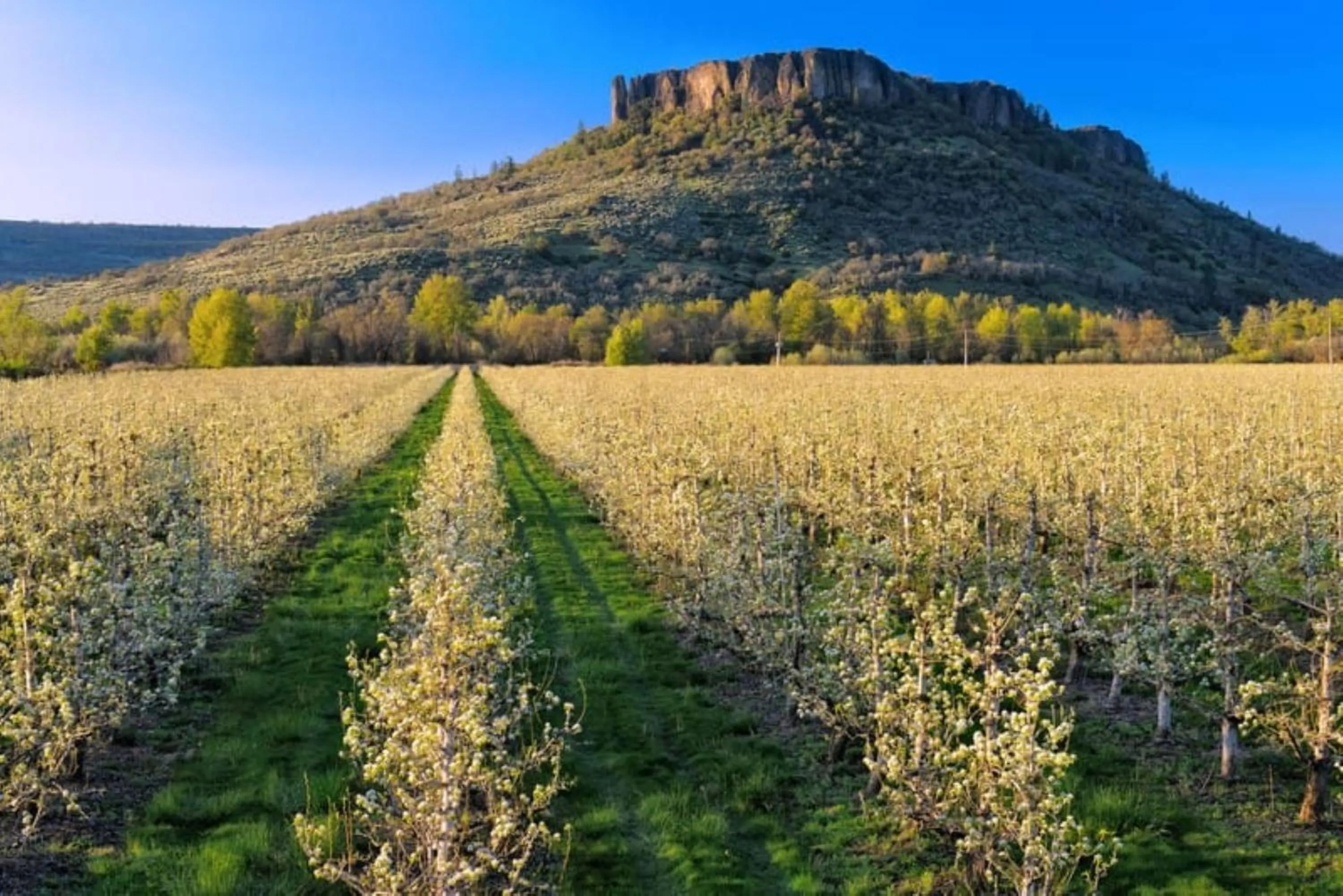 Area and facilities in Candlewood Suites Medford by IHG