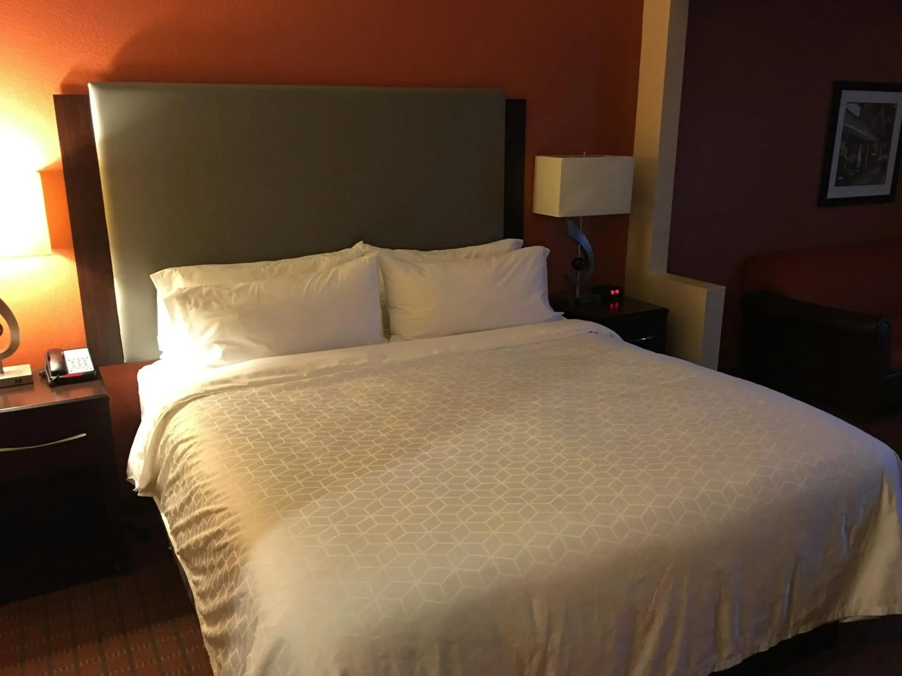 Presidential King Suite - Non-Smoking in Holiday Inn Express Hotel & Suites Laurinburg by IHG Presidential King Suite - Non-Smoking in Holiday Inn Express Hotel & Suites Laurinburg by IHG