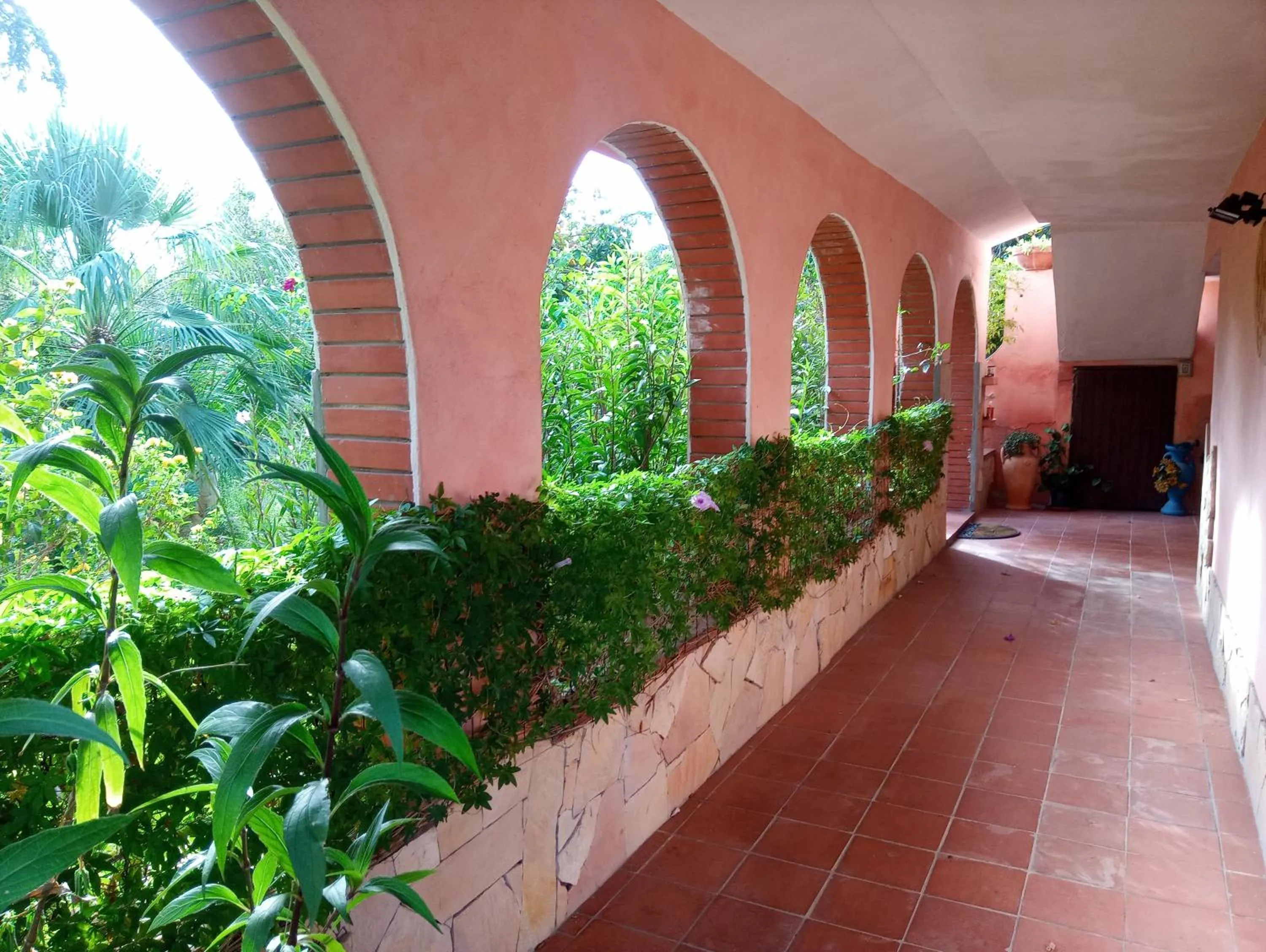 Garden in Villa Corrias