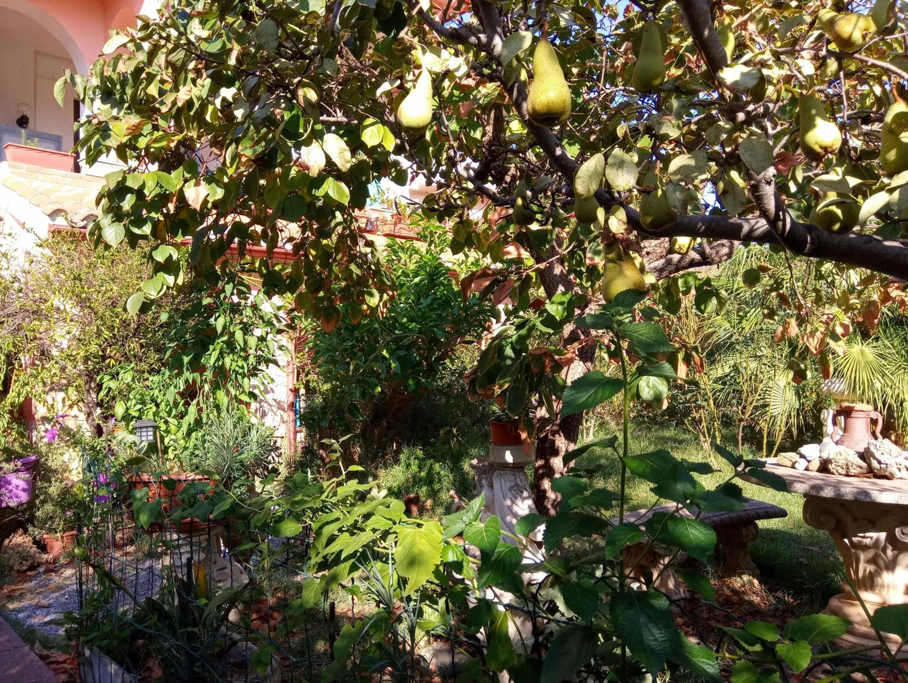 Patio in Villa Corrias