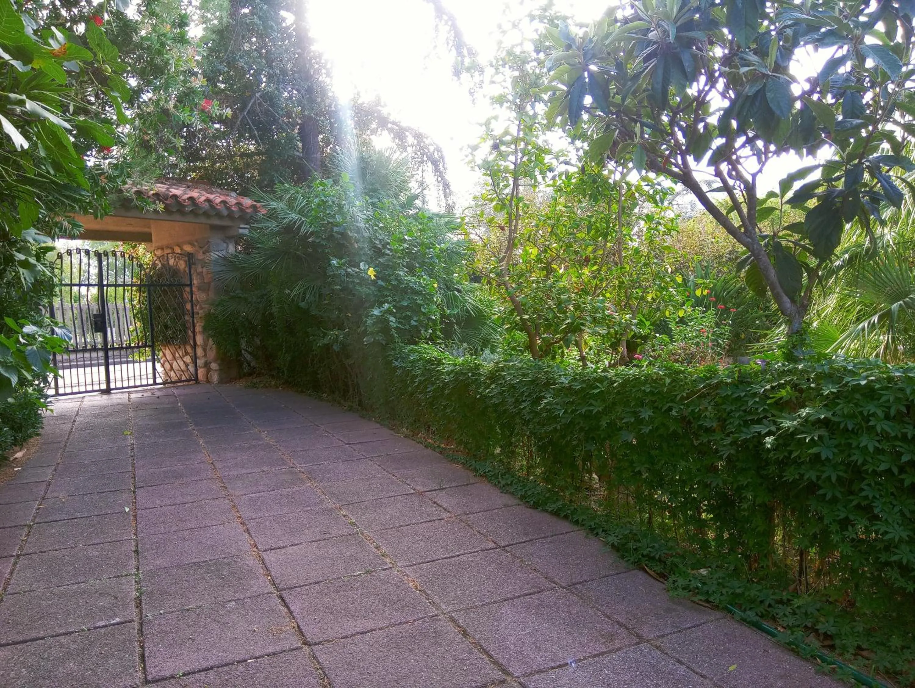 Garden in Villa Corrias