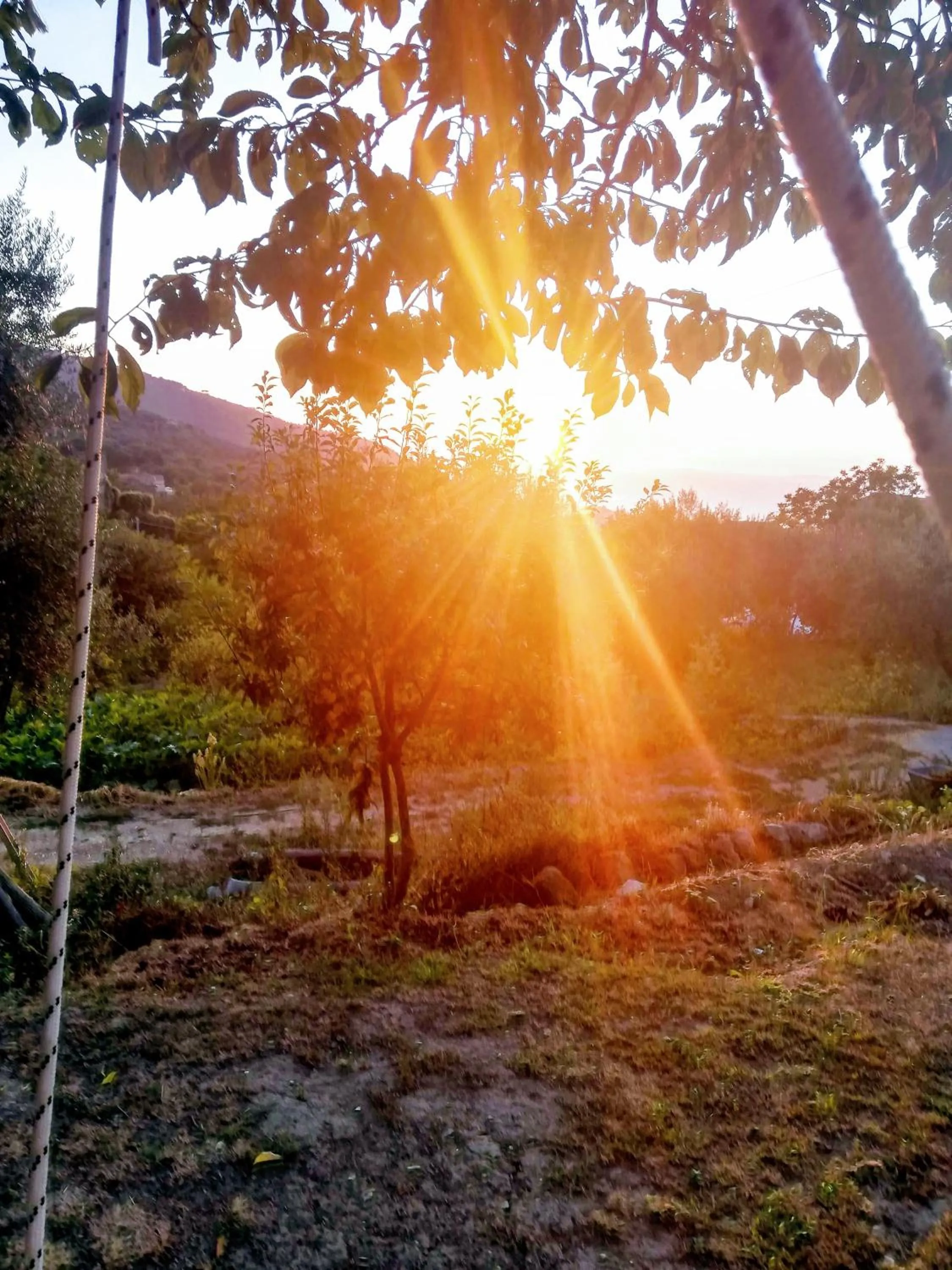 L'Angolo di Campagna