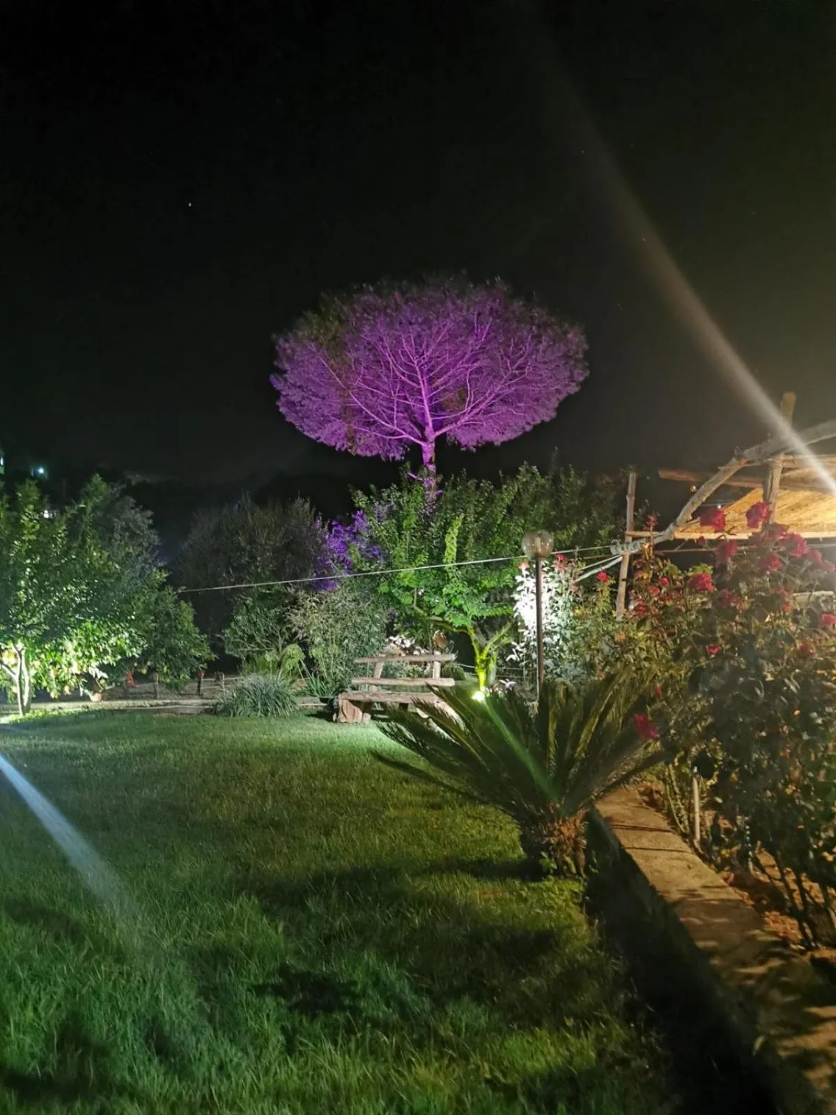 Spring in L'Angolo di Campagna