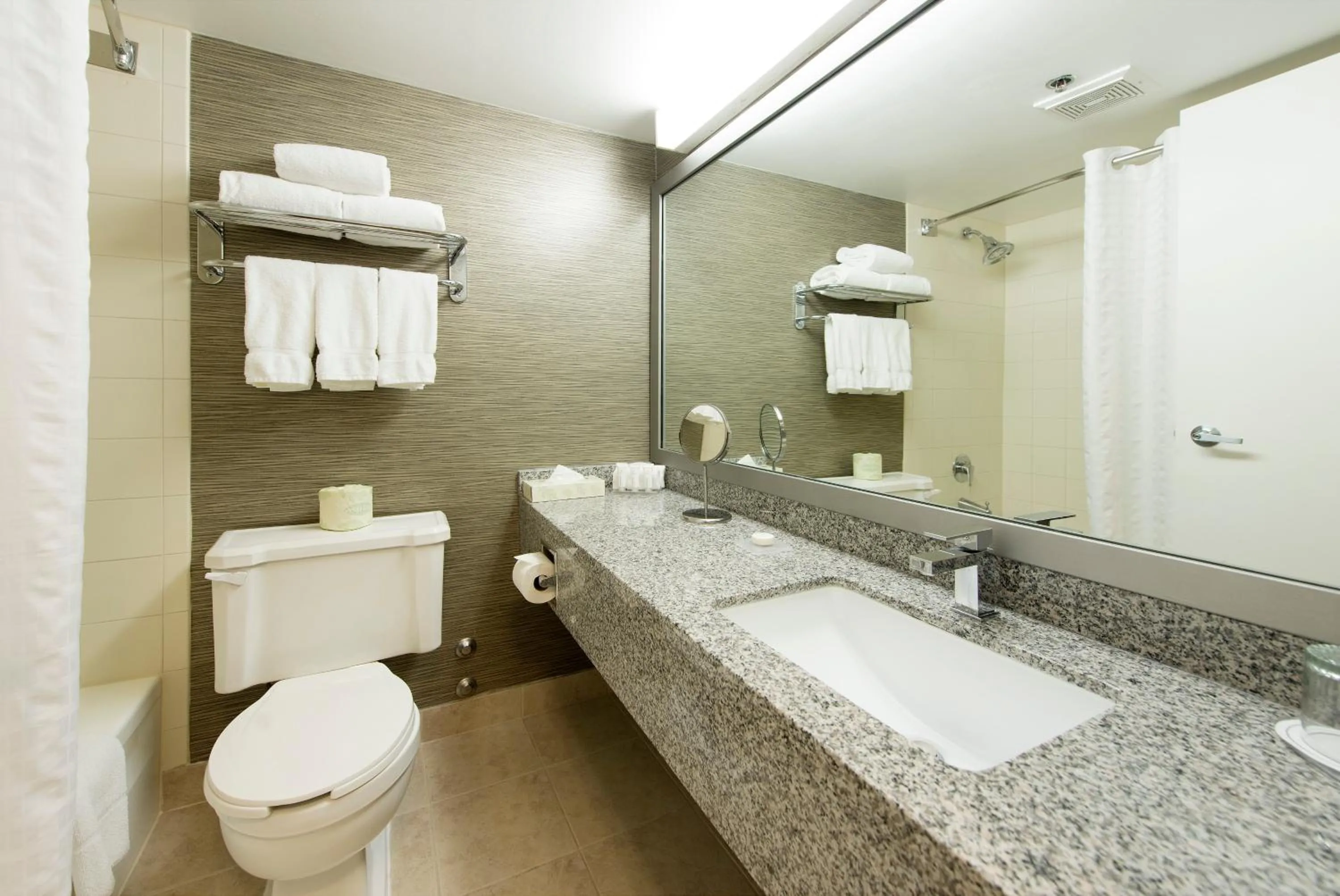 Bathroom in Toronto Don Valley Hotel and Suites