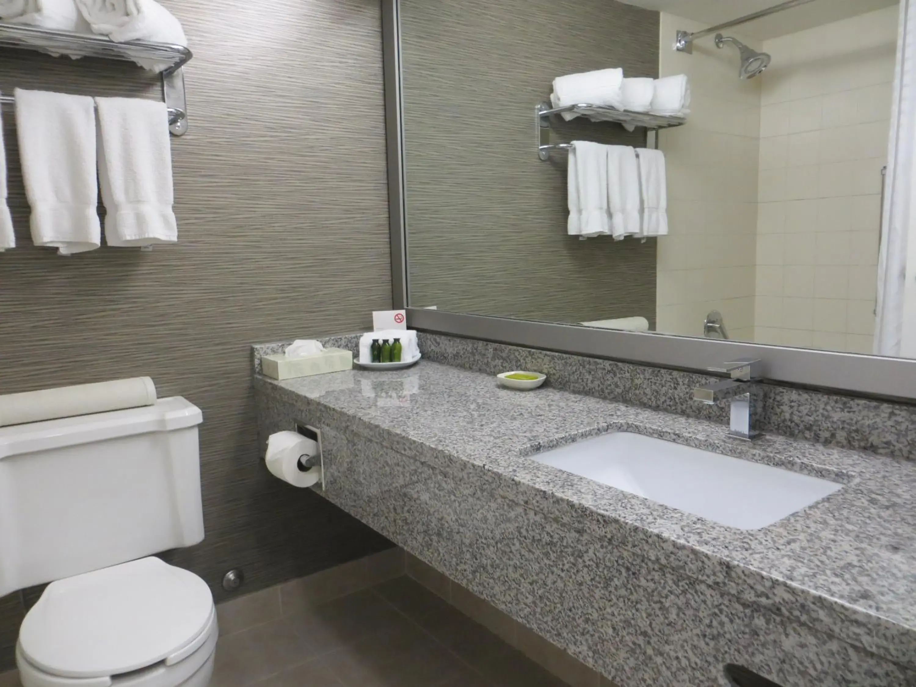 Deluxe King Room with Balcony in Toronto Don Valley Hotel and Suites Deluxe King Room with Balcony in Toronto Don Valley Hotel and Suites