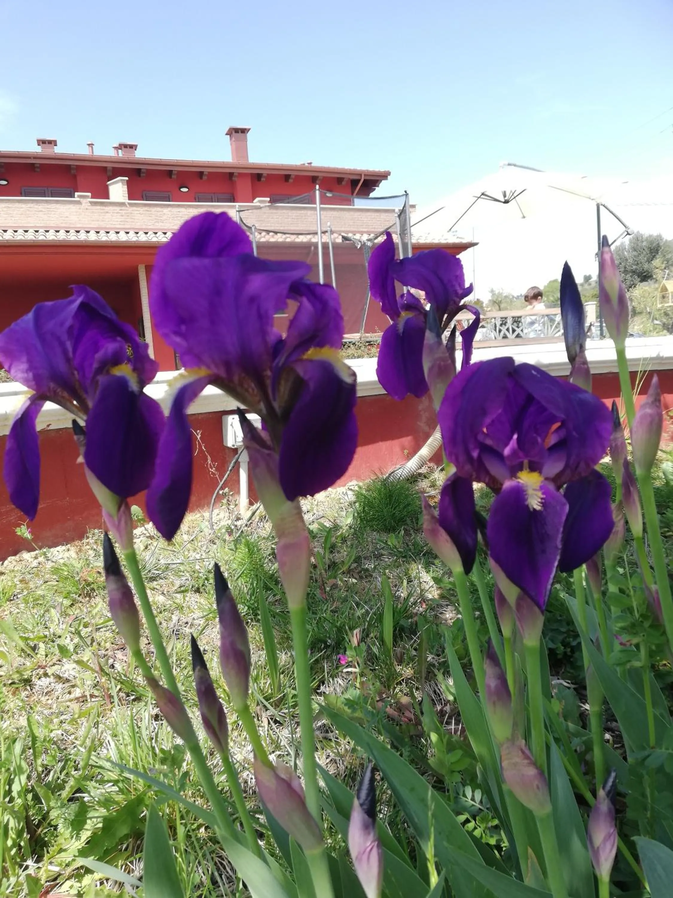 Country House Ciliegia Rossa