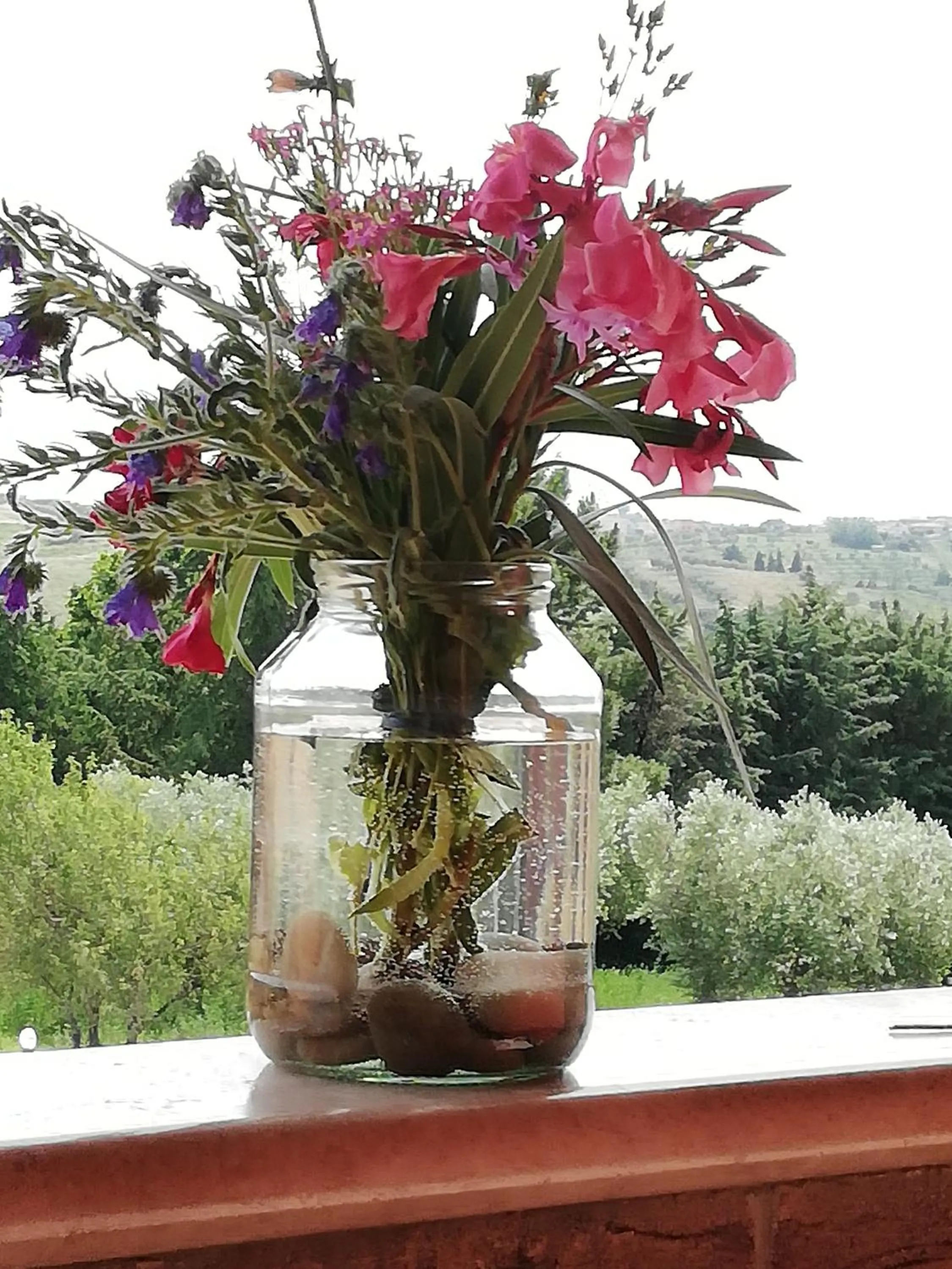 Country House Ciliegia Rossa