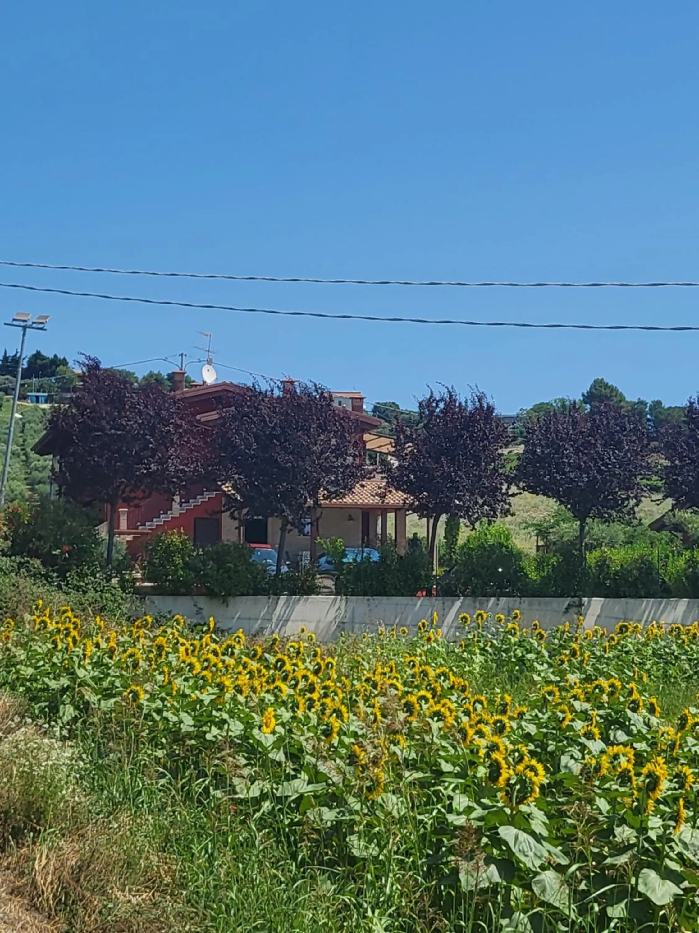 Country House Ciliegia Rossa