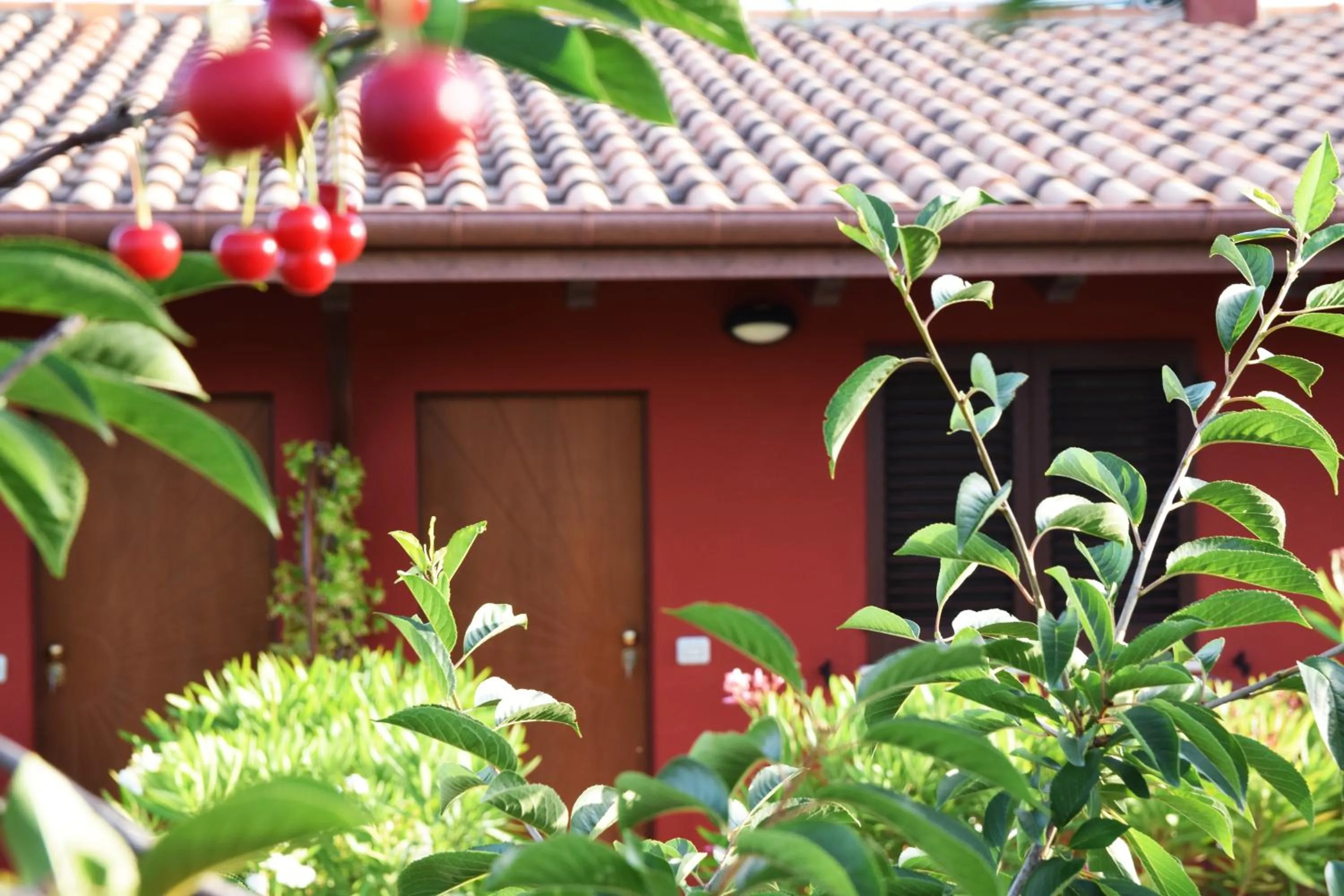 Country House Ciliegia Rossa