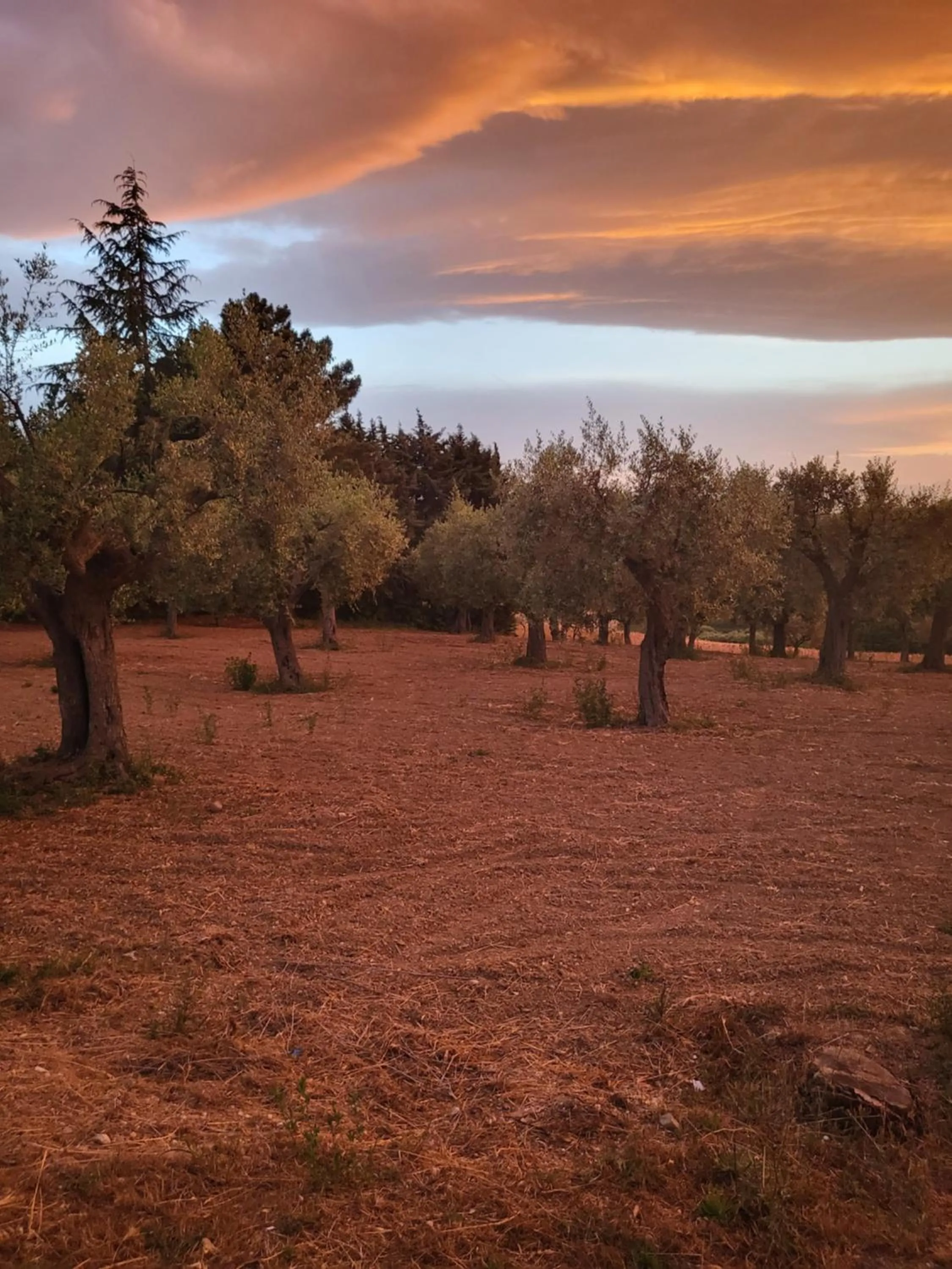 Country House Ciliegia Rossa