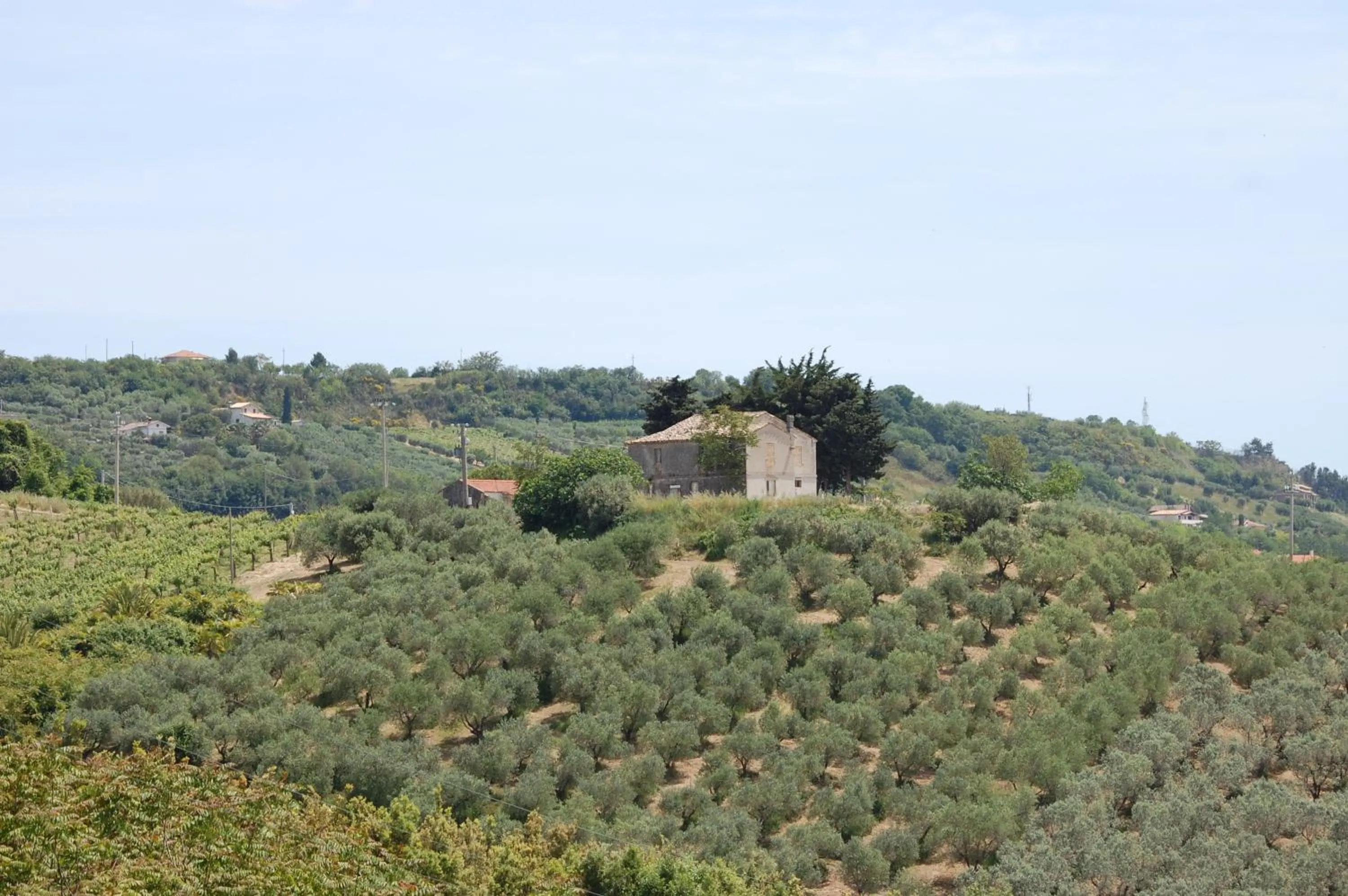 View (from property/room) in Country House Ciliegia Rossa