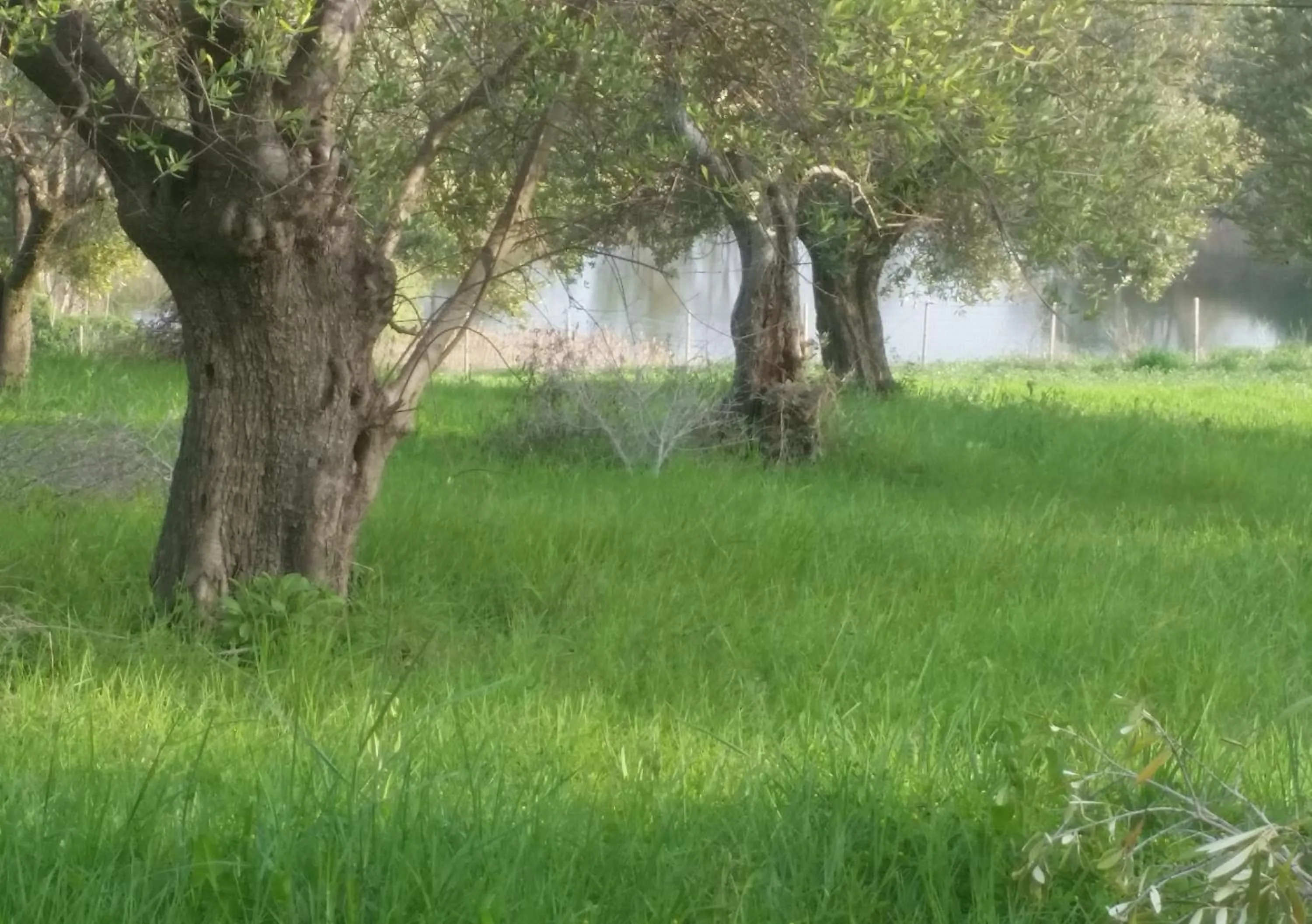 Country House Ciliegia Rossa