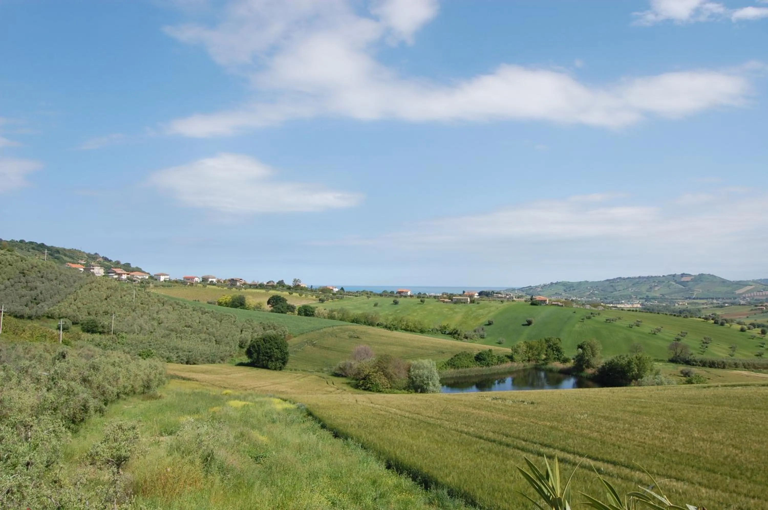 Sea view in Country House Ciliegia Rossa
