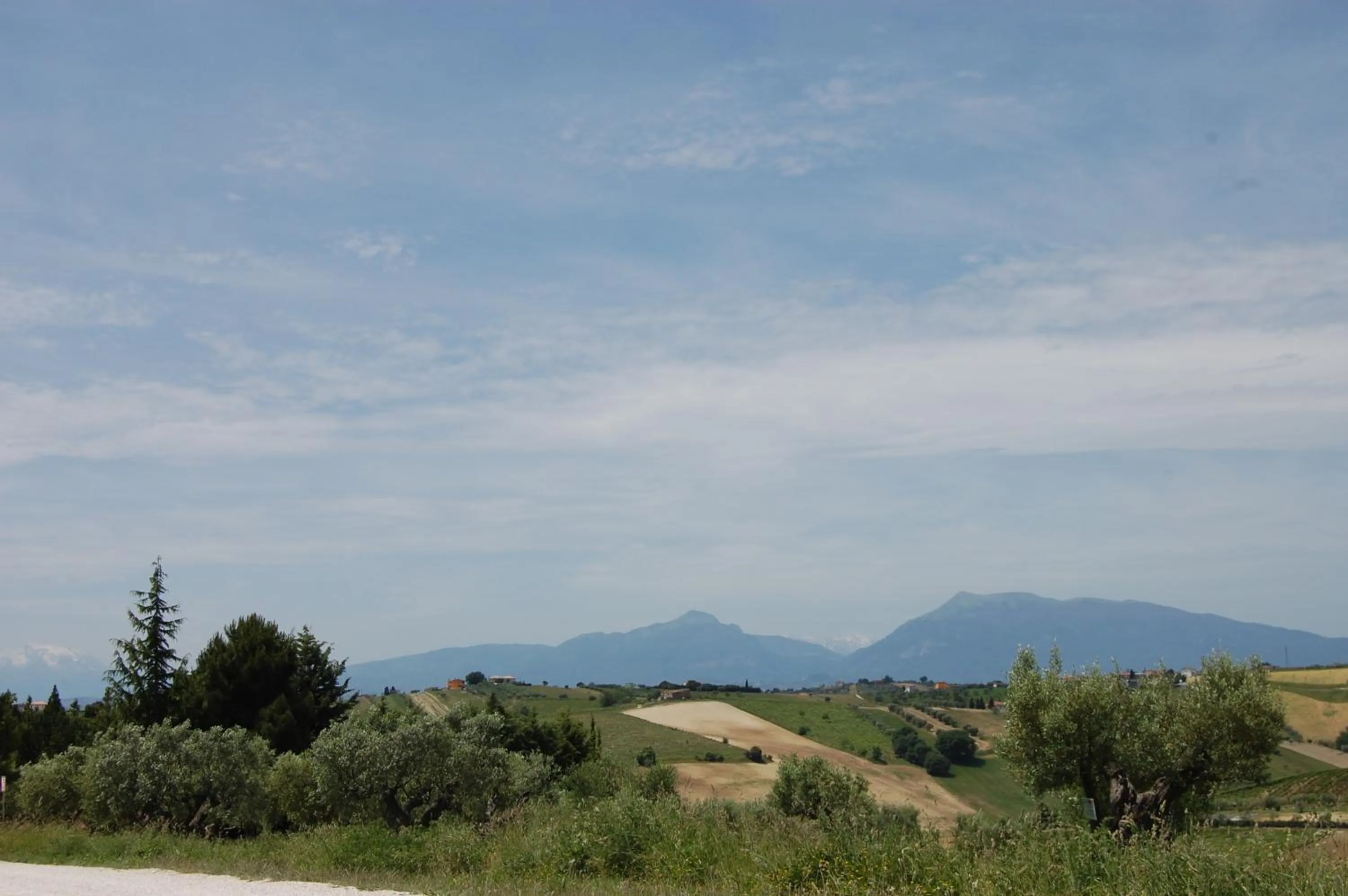 View (from property/room) in Country House Ciliegia Rossa