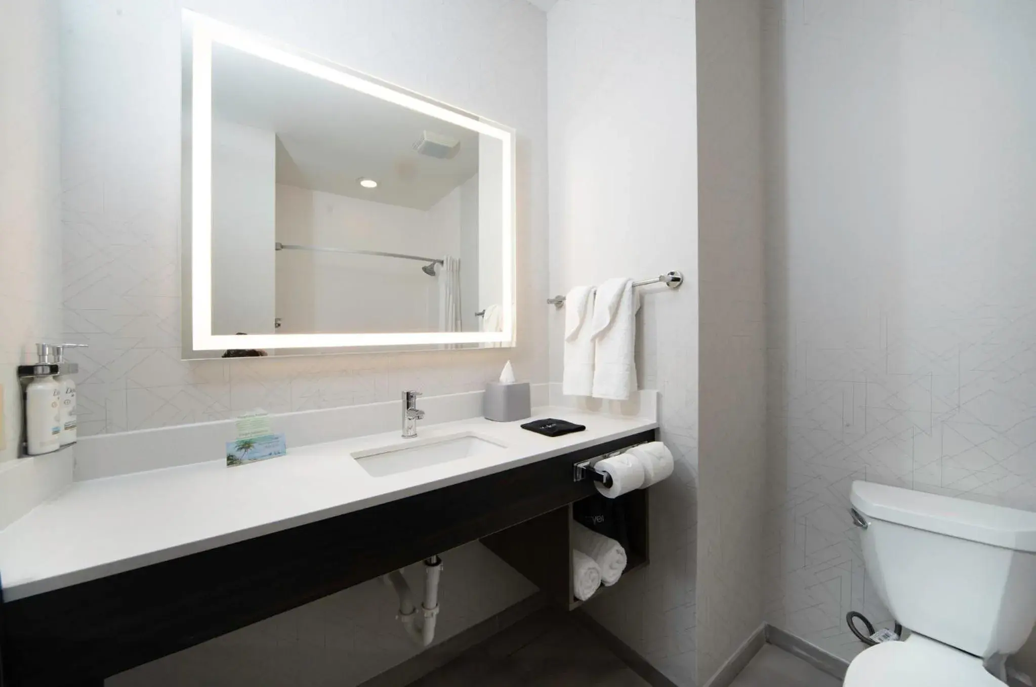 Bathroom in Holiday Inn Express Hotel & Suites St. Charles by IHG Bathroom in Holiday Inn Express Hotel & Suites St. Charles by IHG